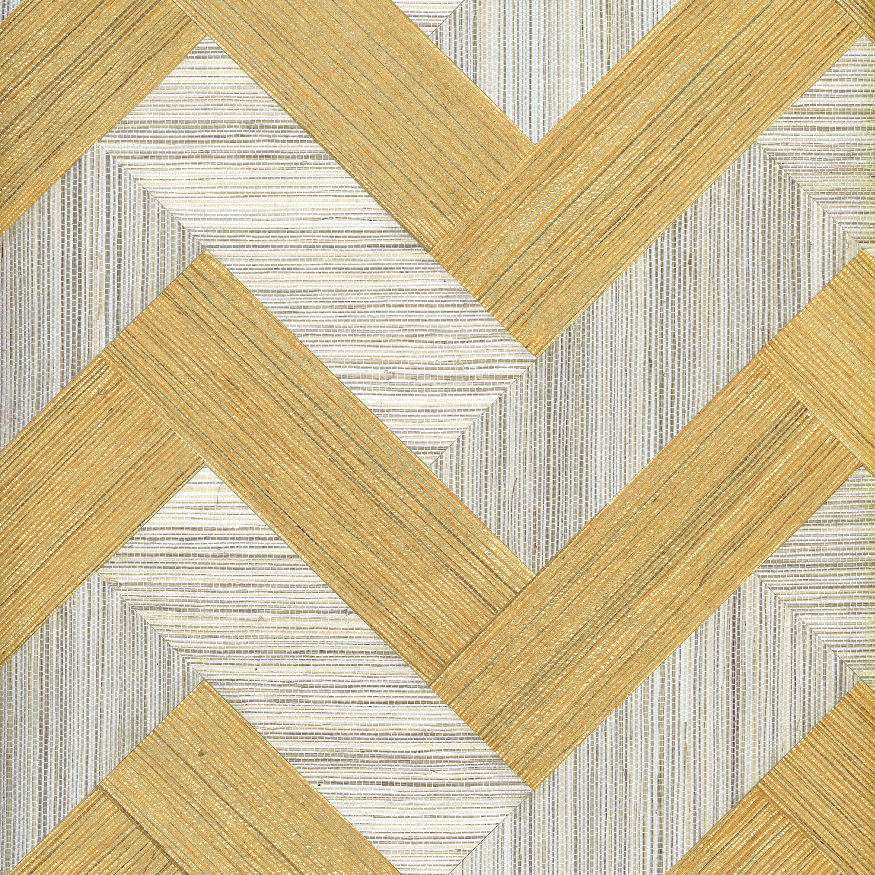 Oculaire Combine