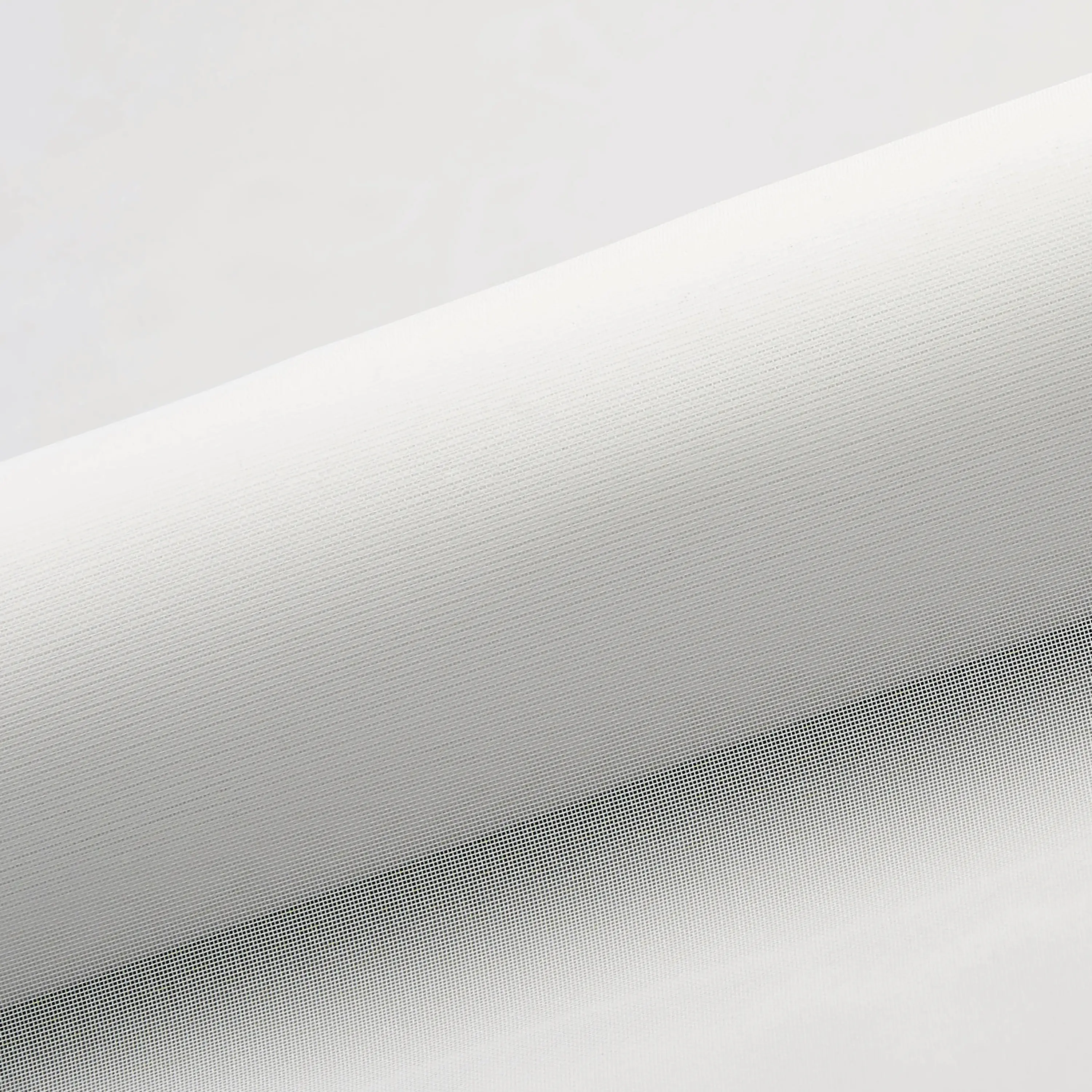 PONGS - TCS Voile