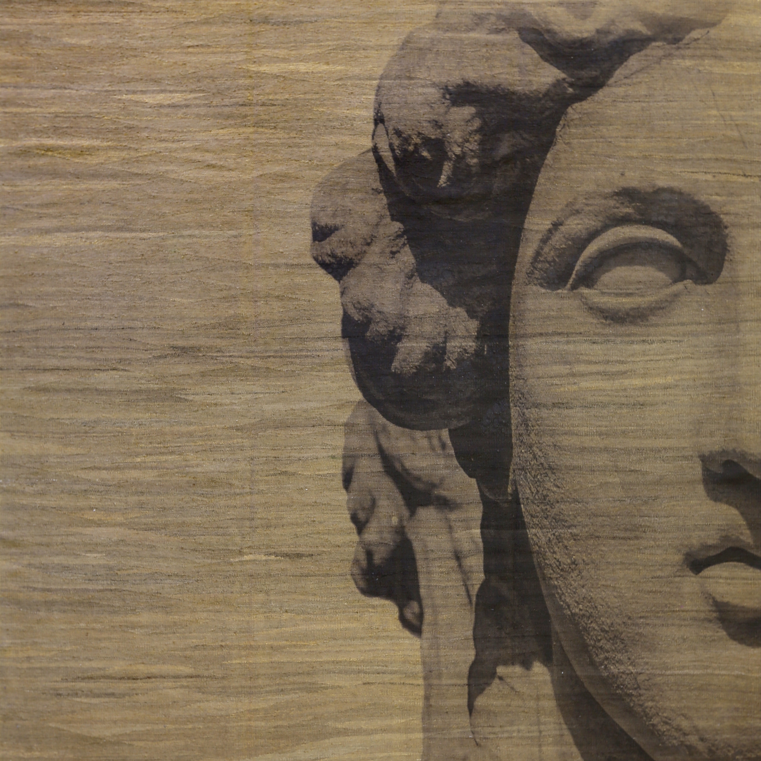 Mostrar el producto Designer Trompe L'Oeil Roman Empire Visage on Neutral Ground del fabricante Zollanvari
