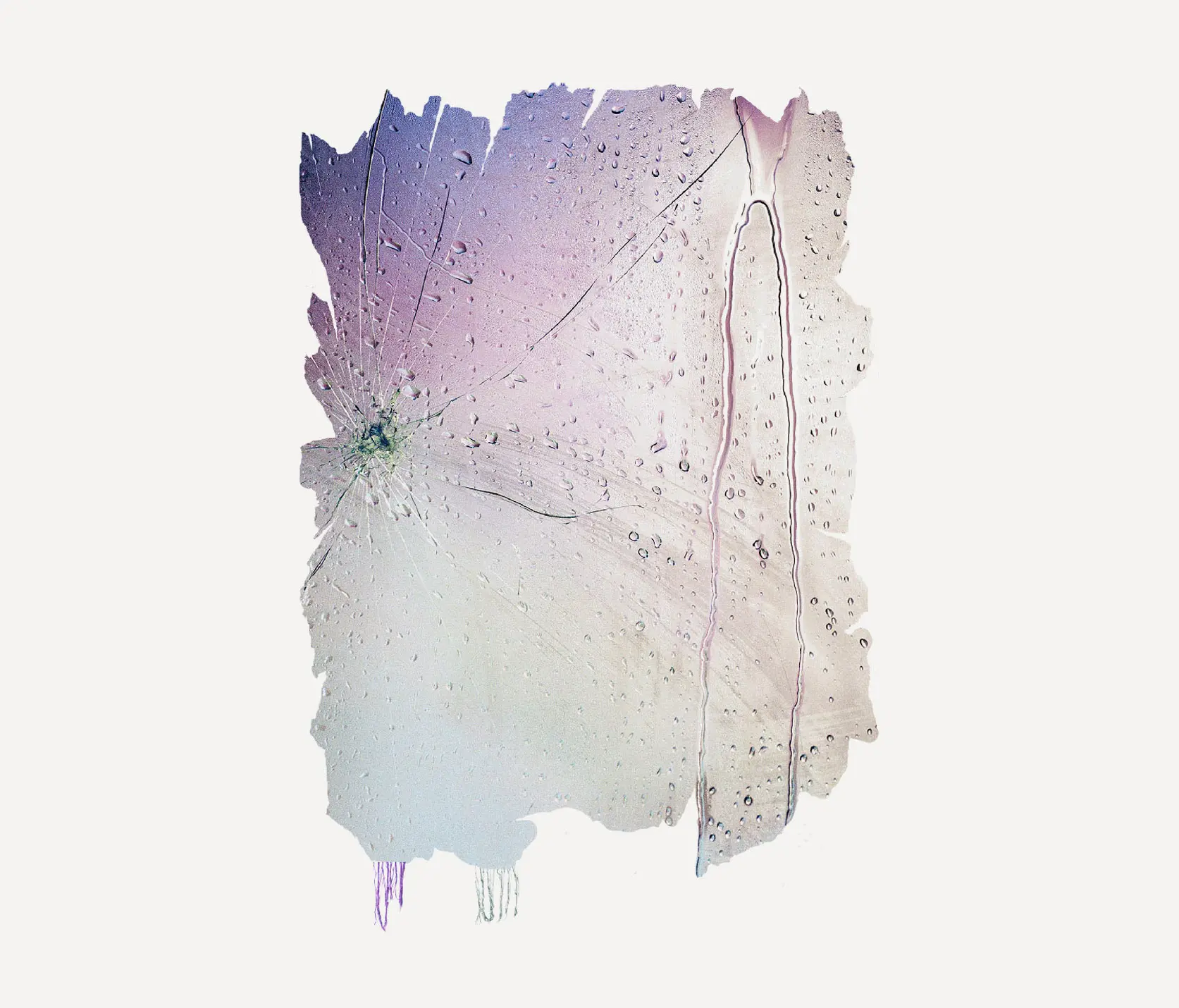 Henzel Studio - Collaborations (Select) | Twilight