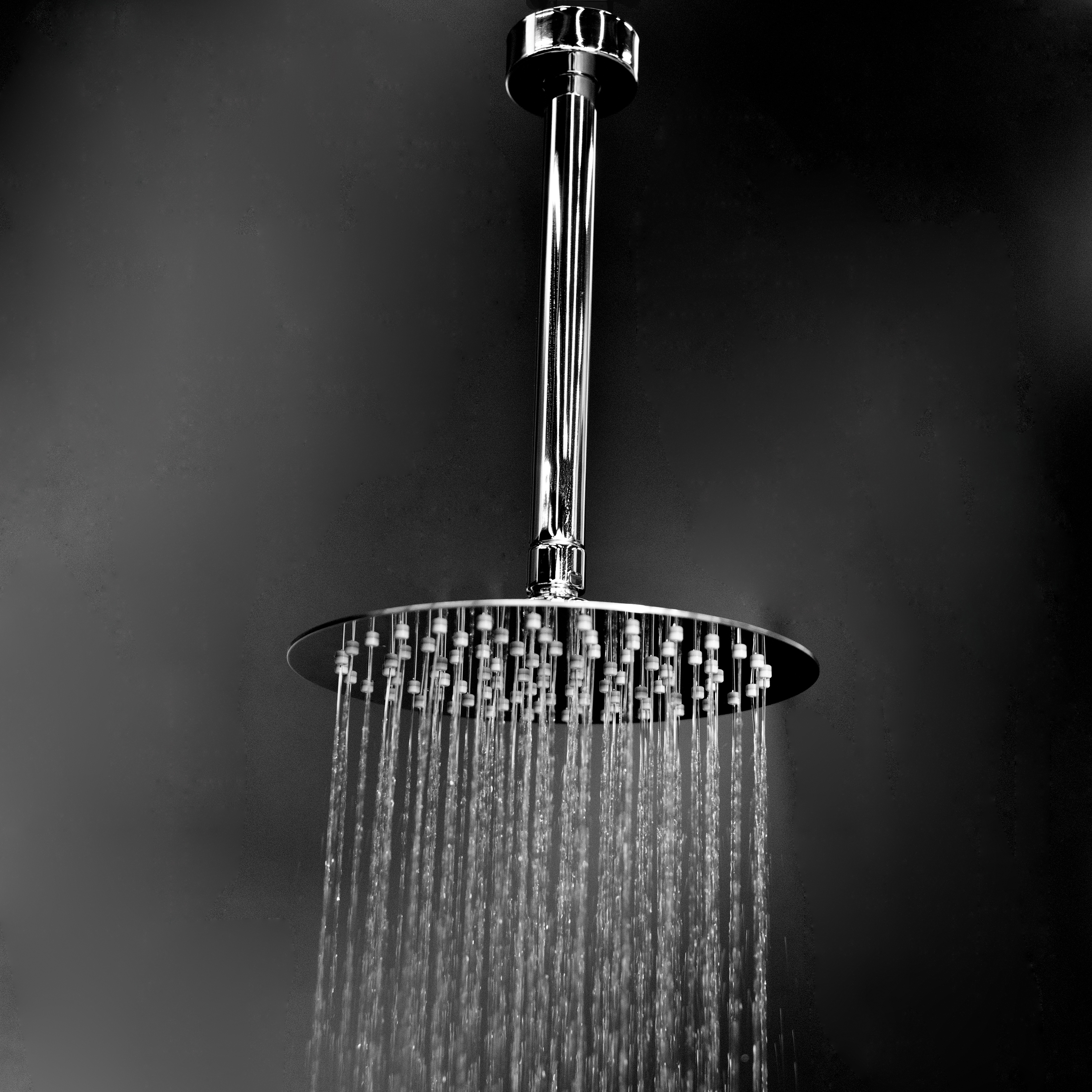 Mostra il prodotto Eleganza Shower Head 1885 del produttore Lacava