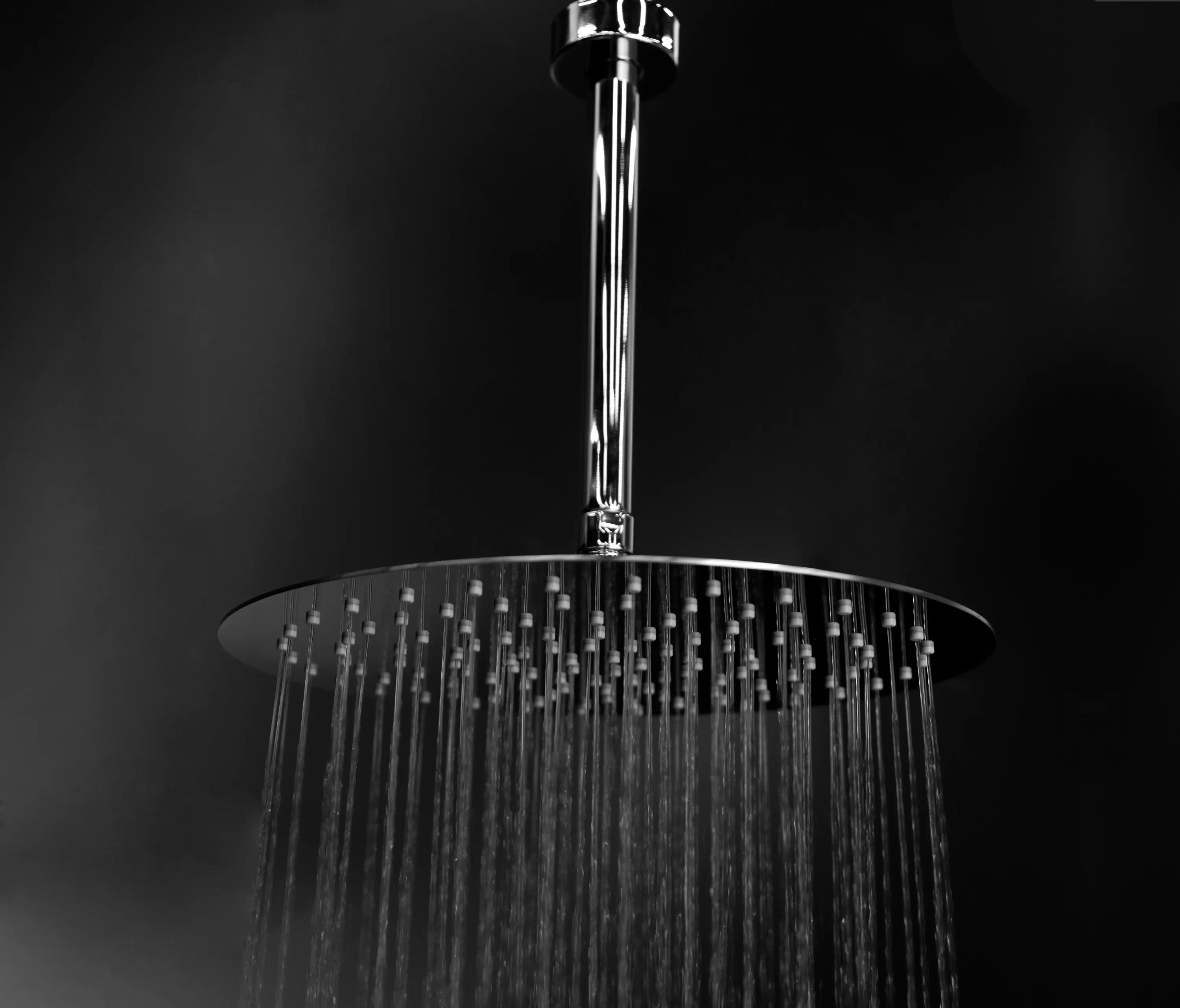 Lacava - Eleganza Shower Head 1884