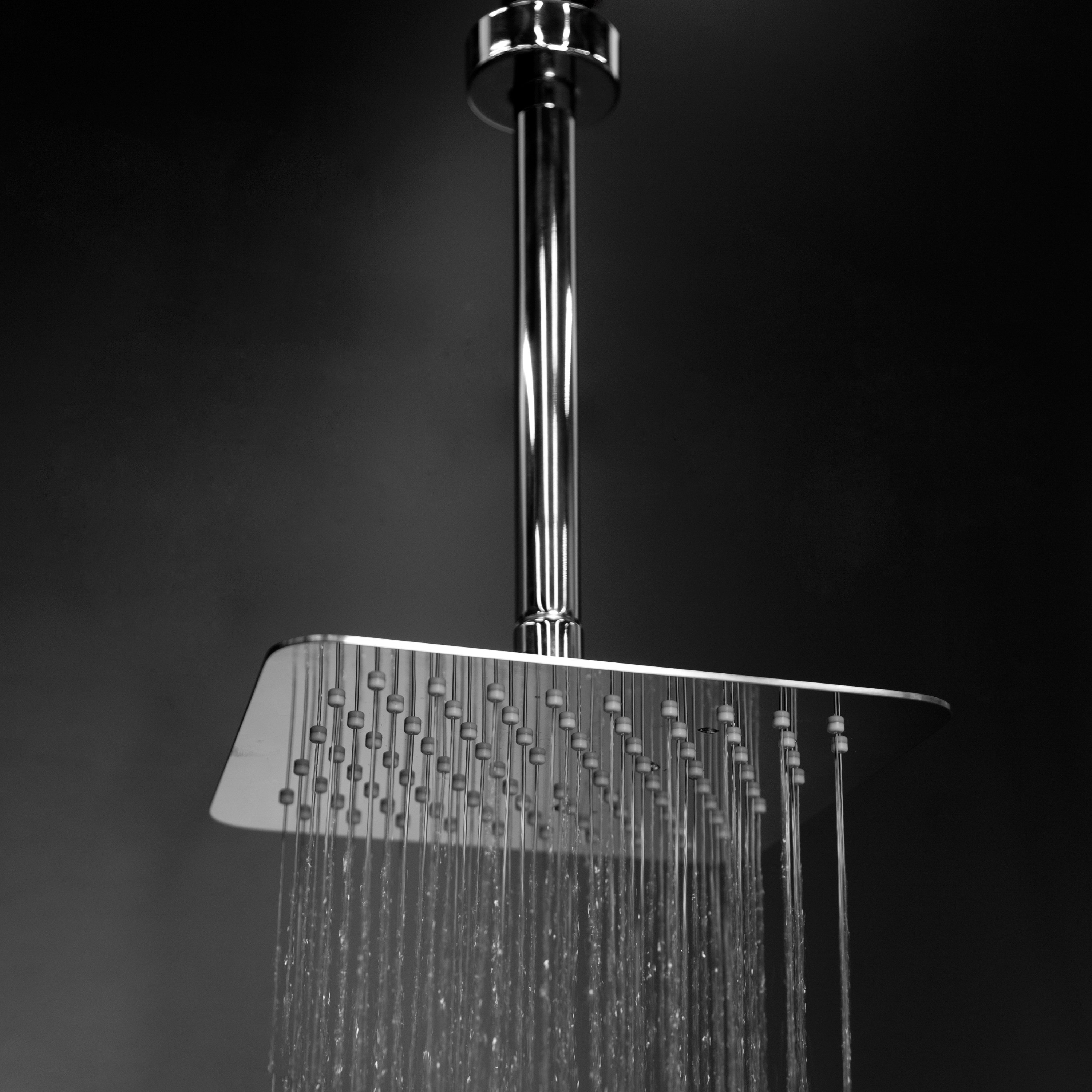 Mostra il prodotto Eleganza Shower Head 1865 del produttore Lacava