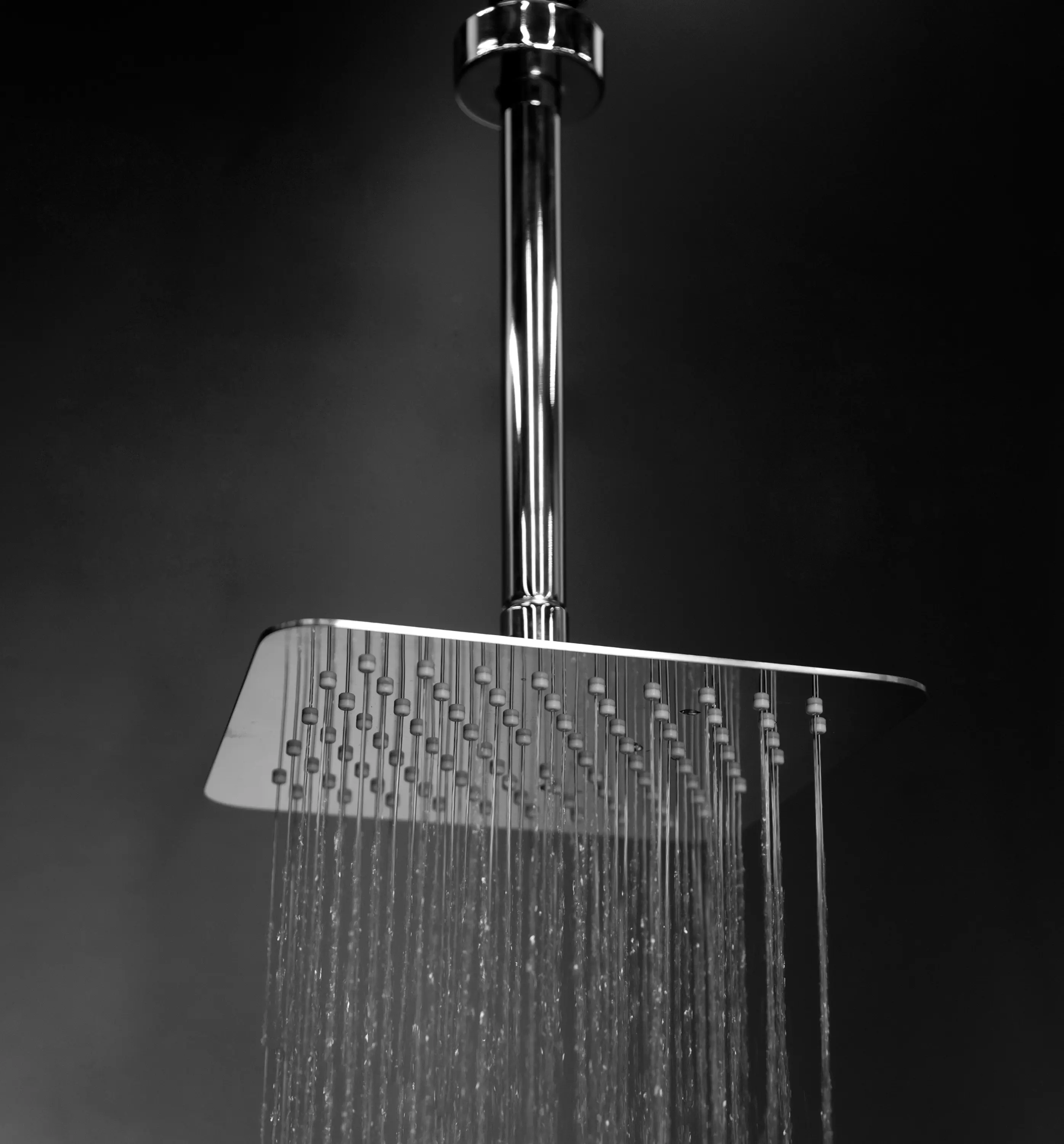 Lacava - Eleganza Shower Head 1865