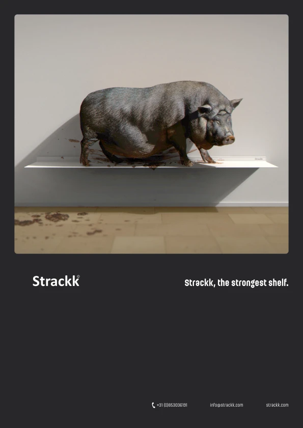 Immagine di anteprima del file Catalogue 2025