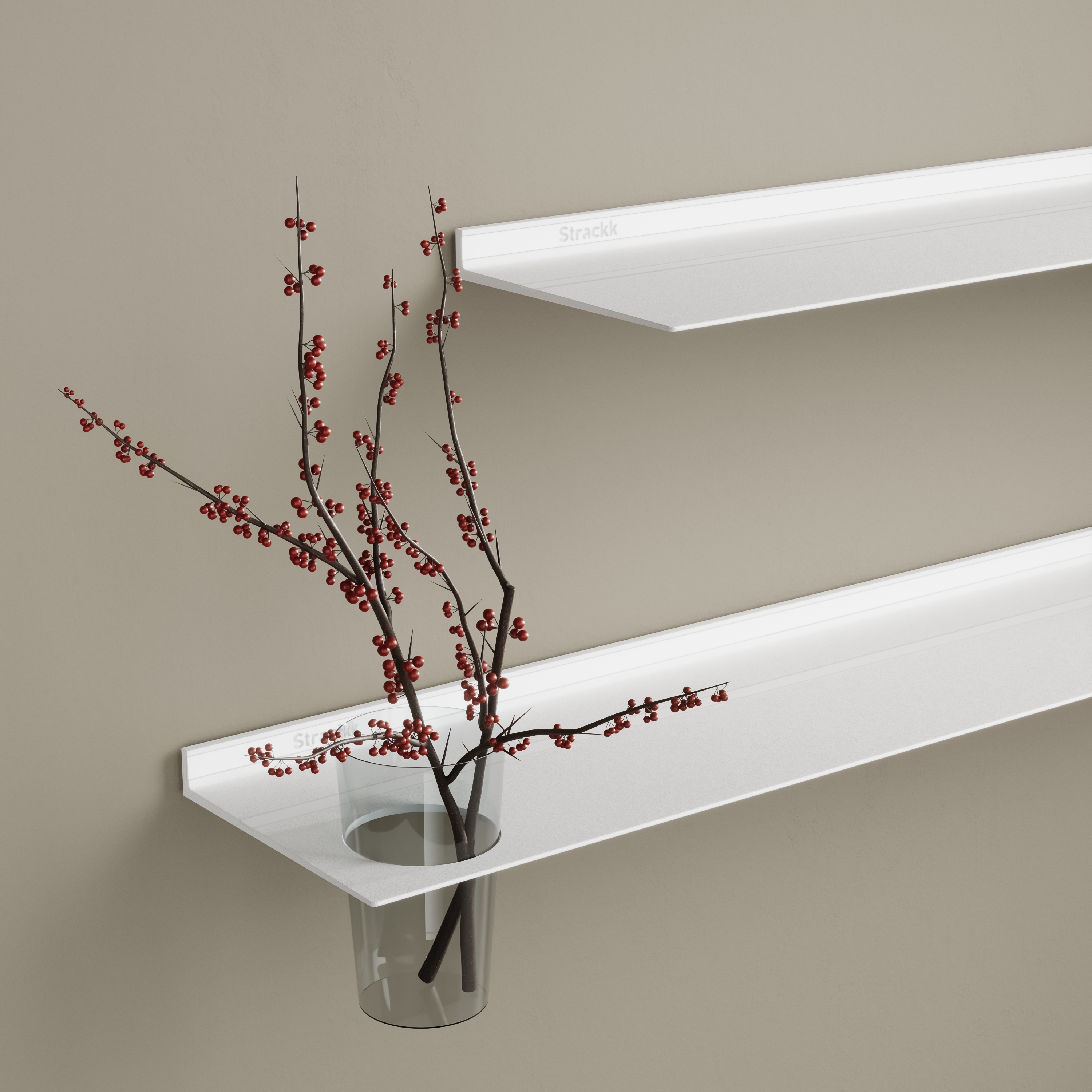 Mostrar el producto Wall shelf with vase | White RAL9016 del fabricante Strackk