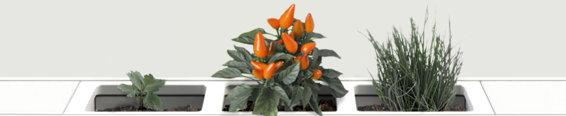 Discover the world of manufacturer Domusomnia