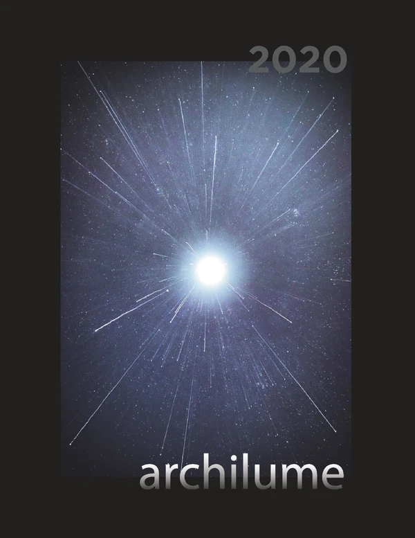 Immagine di anteprima del file Archilume Catalog 2020