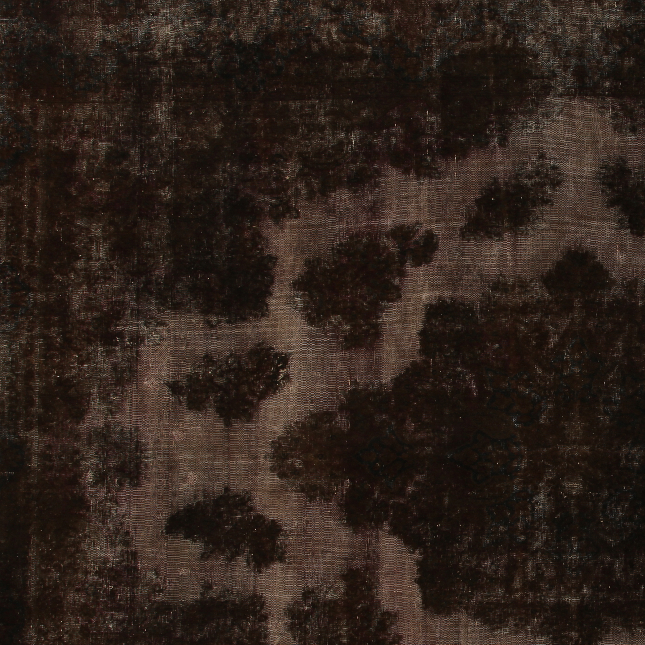 Revive brown