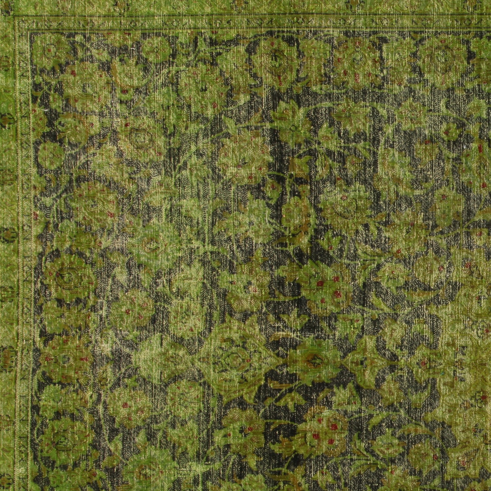 Revive green