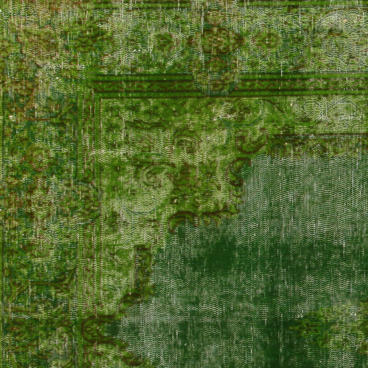 Revive green