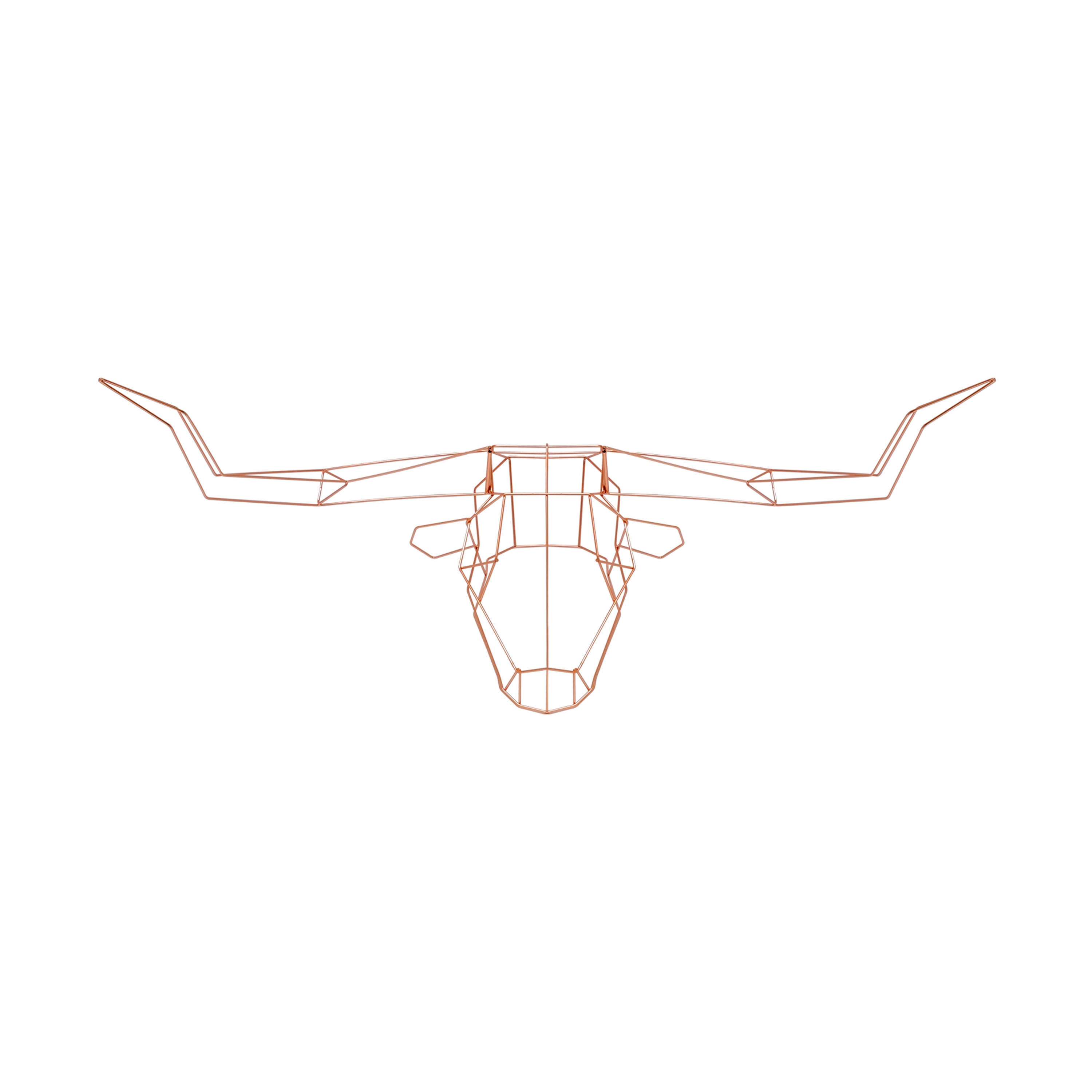 The Longhorn