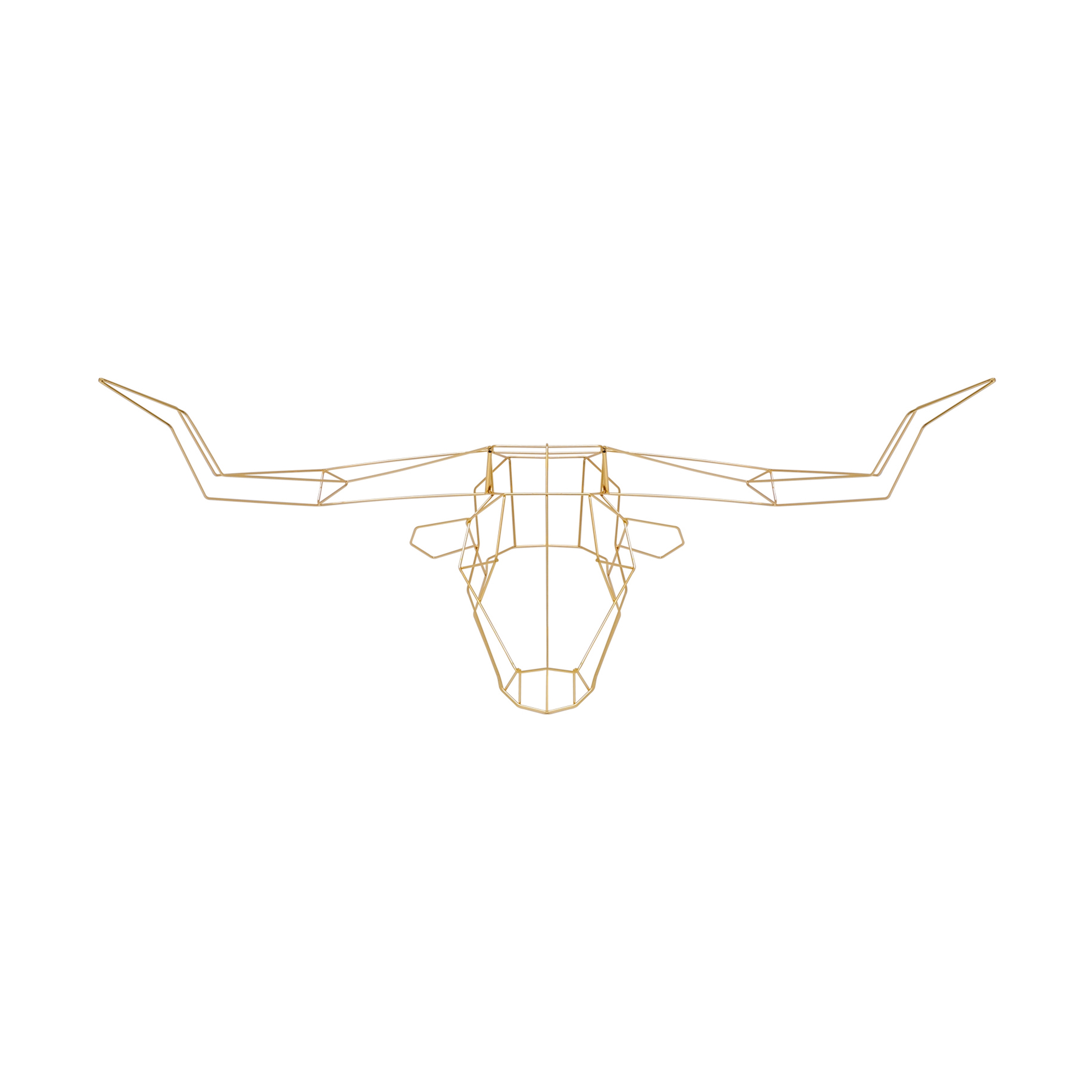 The Longhorn