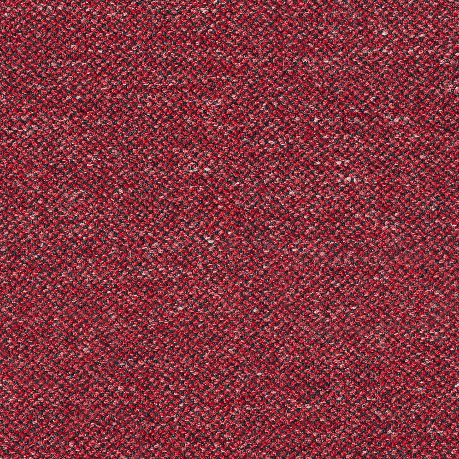 Jorvik 25