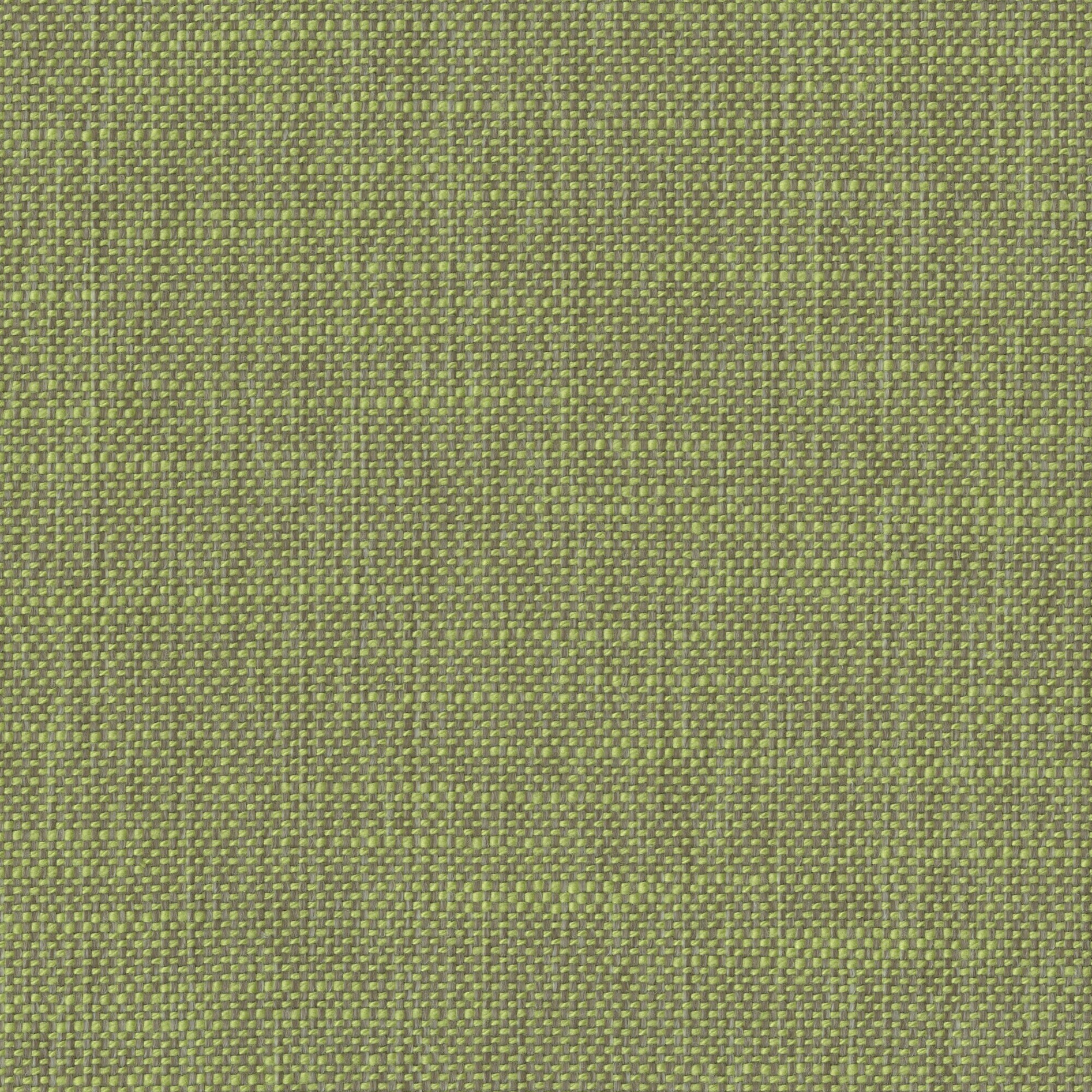 Libra 42