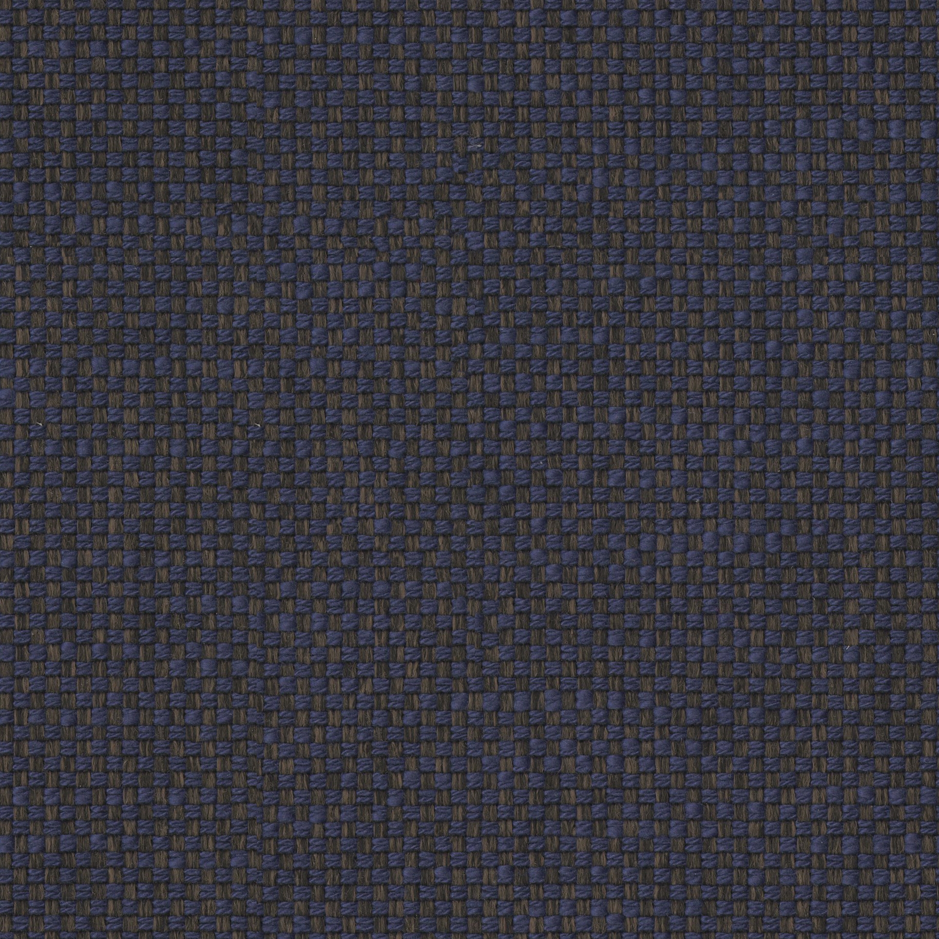 Norma 38