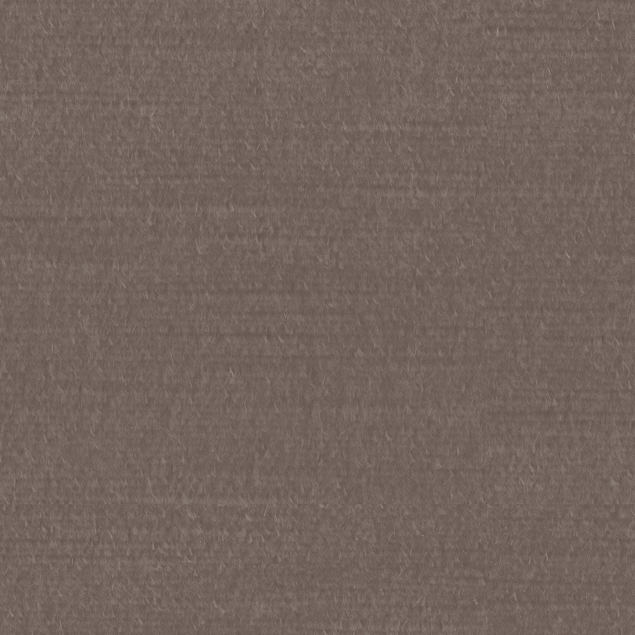 Scala 55