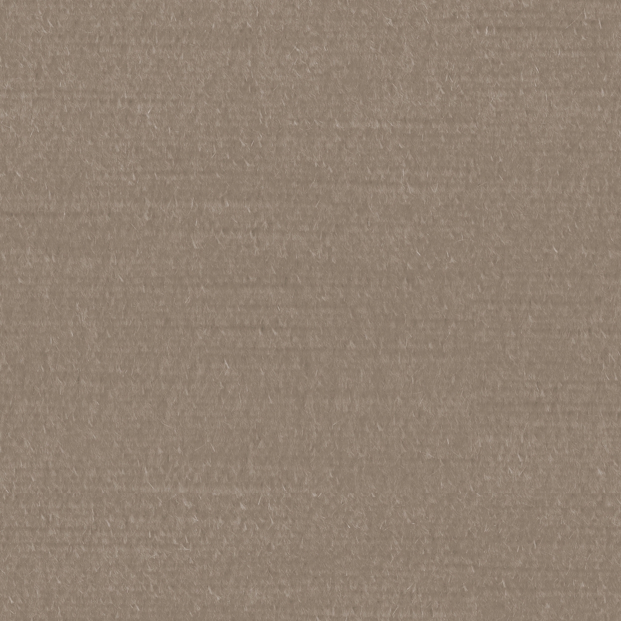 Scala 65