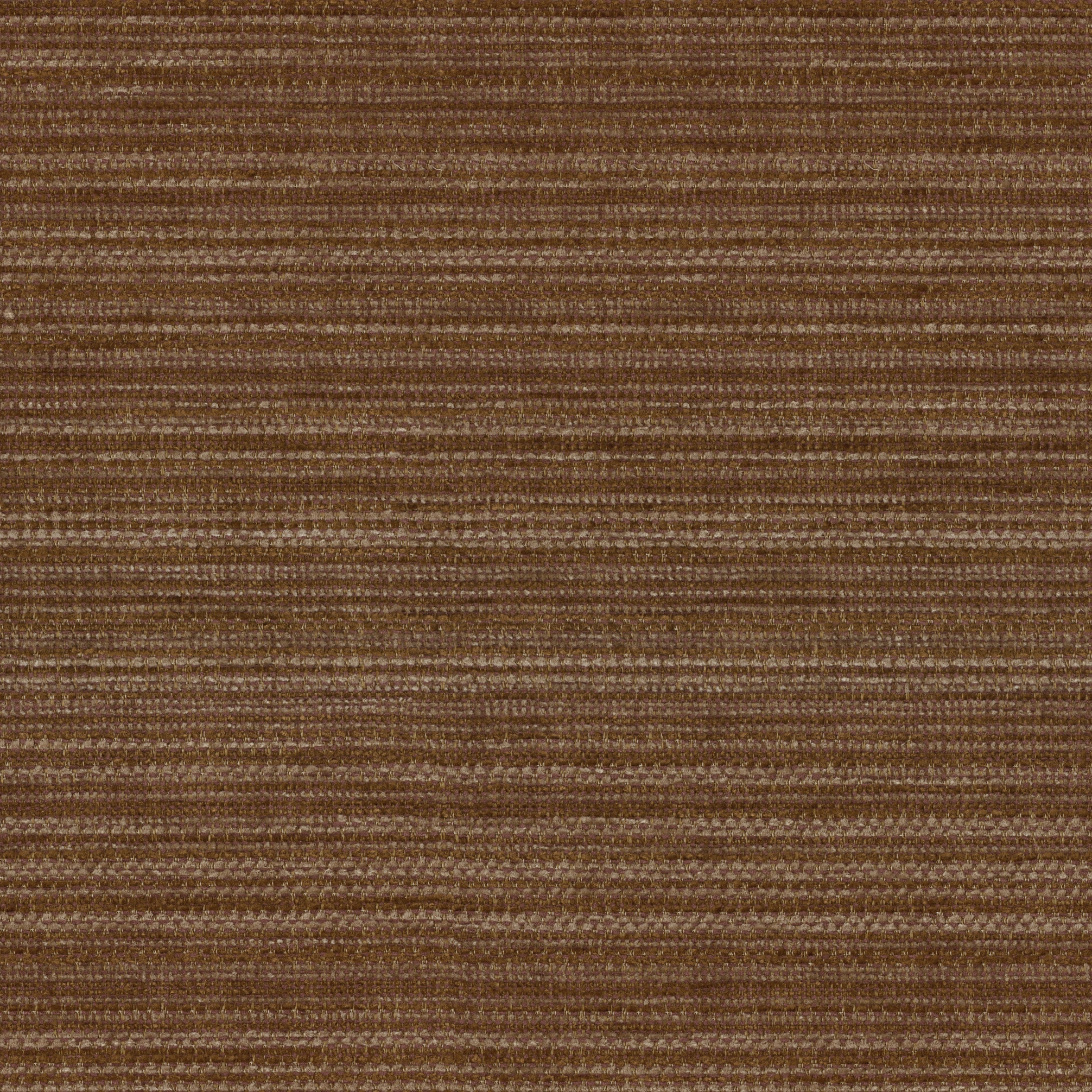 Tasman 65