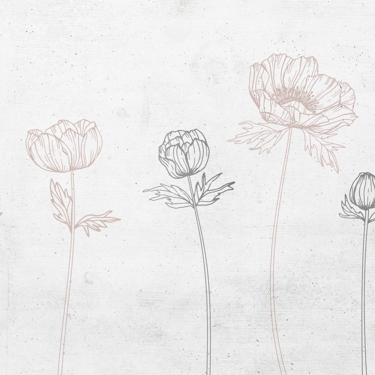 Romantic Traces | RT1.08 IS