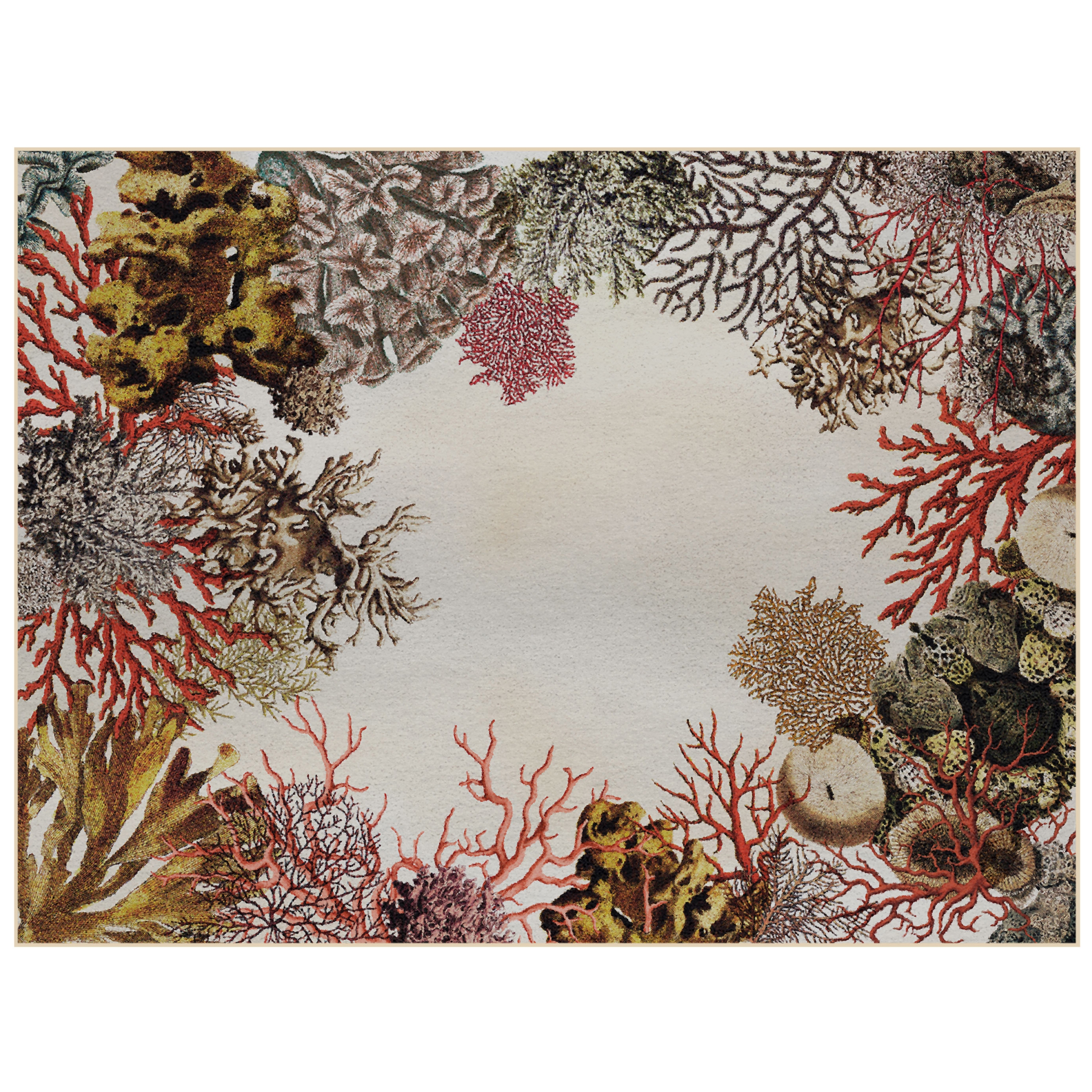 Coral Loss | CL3.01.3 | 400 x 300 cm