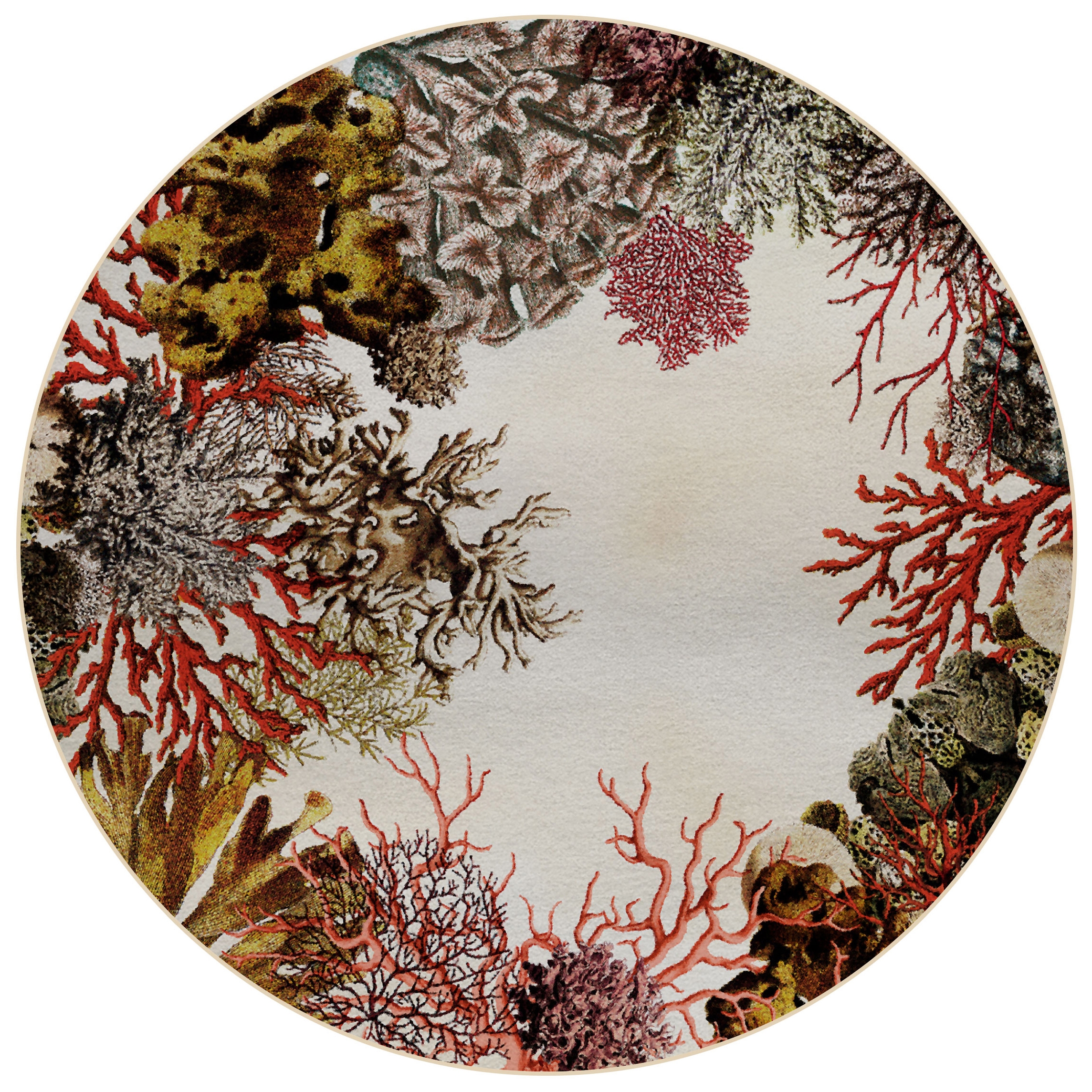 Coral Loss | CL3.01.3 | Ø 350 cm