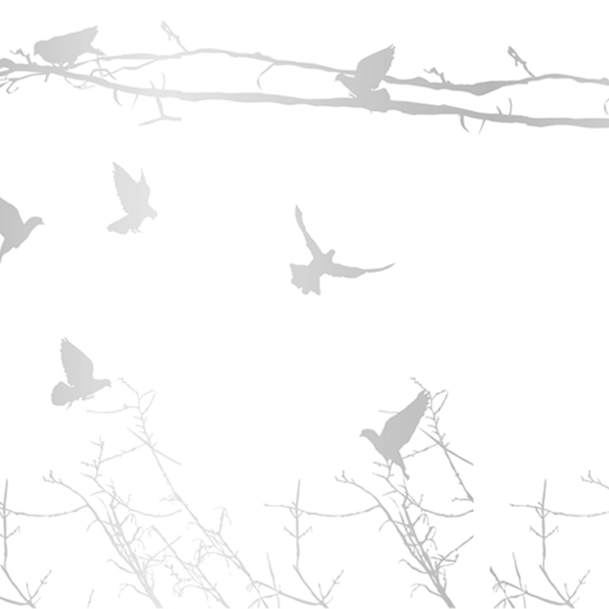 Glossy Pigeons | GP1.02 IS