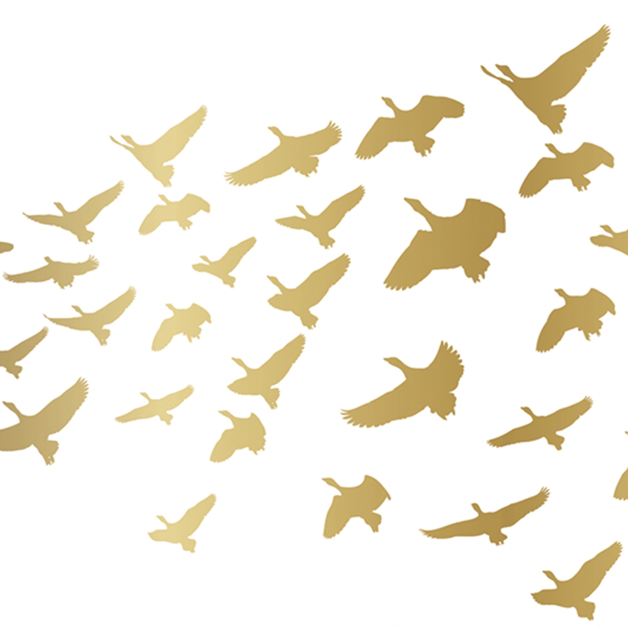 Mostrar el producto Glossy Pigeons | GP1.08 SG del fabricante YO2
