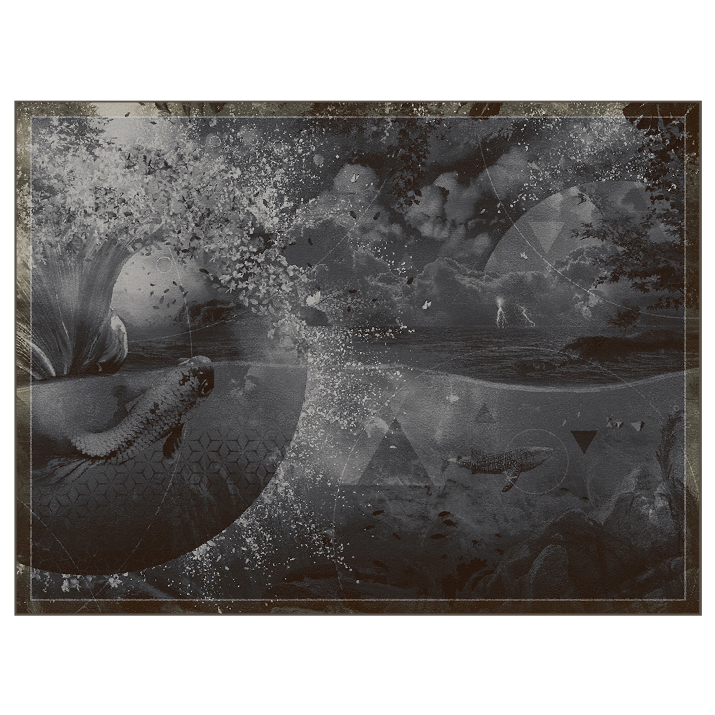 Infinity | IN3.01.3 | 200 x 300 cm