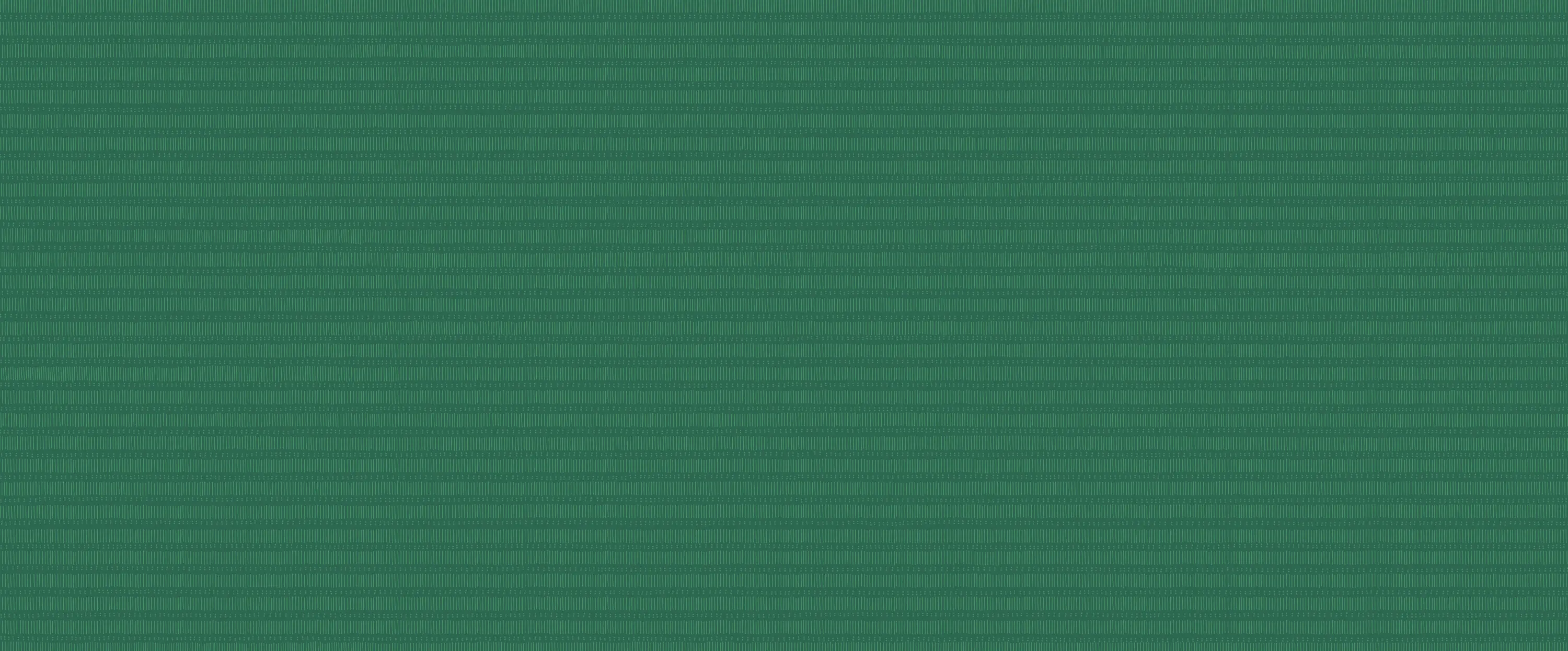 YO2 - Monograph | MN1.03.3 FF