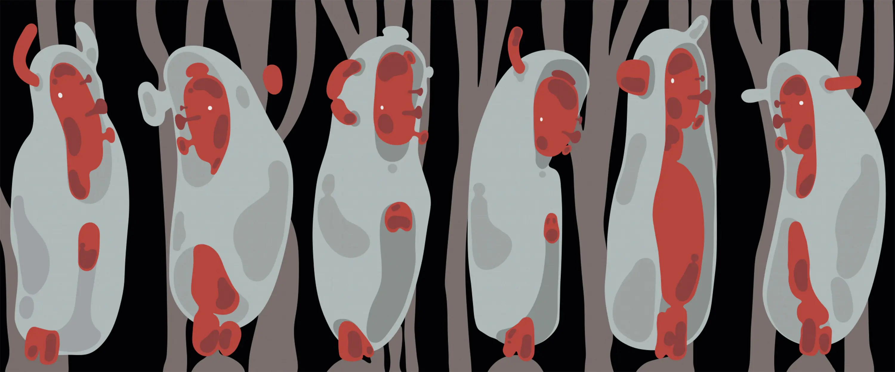 YO2 - Moment | MO1.01.2 FF