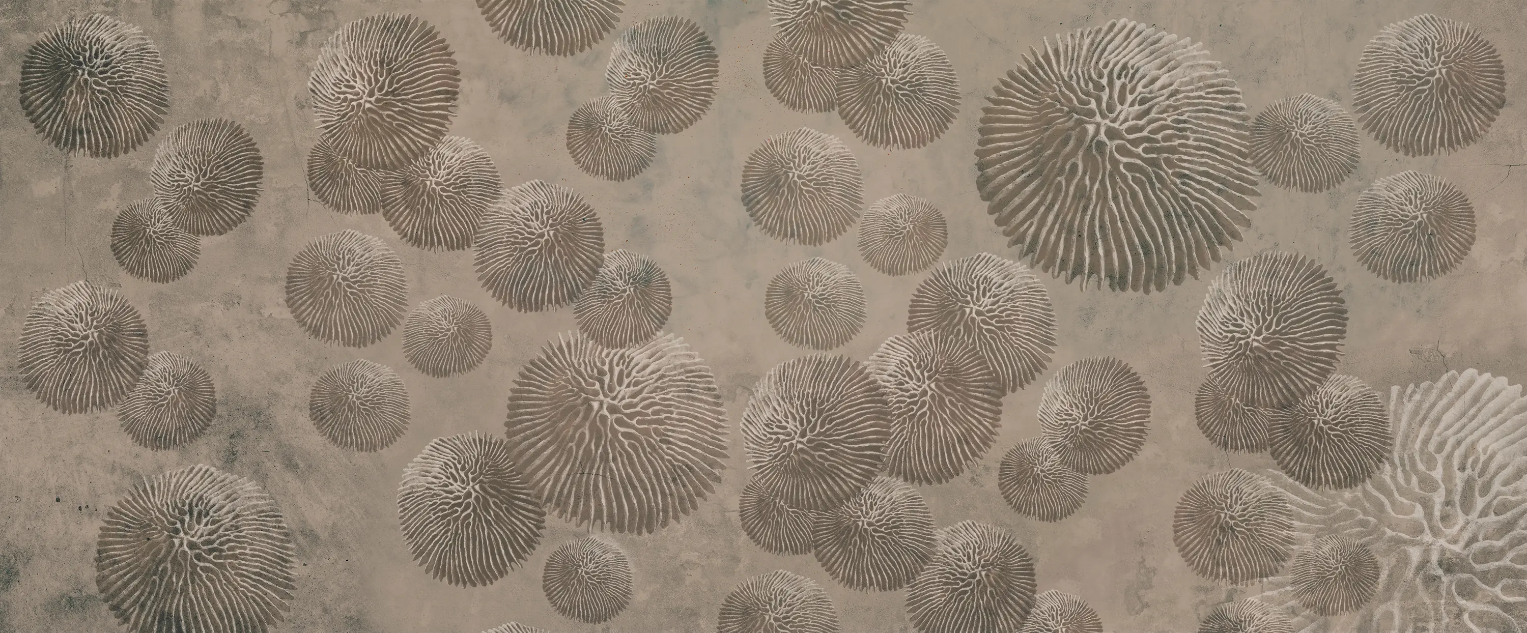 YO2 - Plethora | PL1.04.2 FF