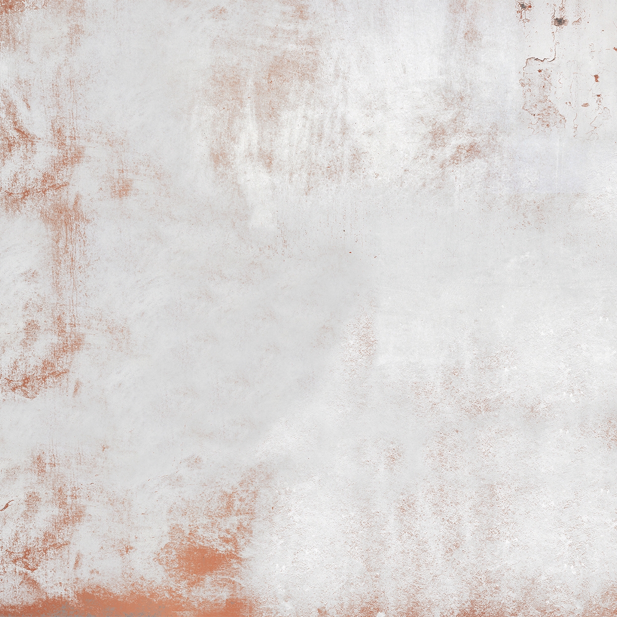 Proviso | SS1.01 MB