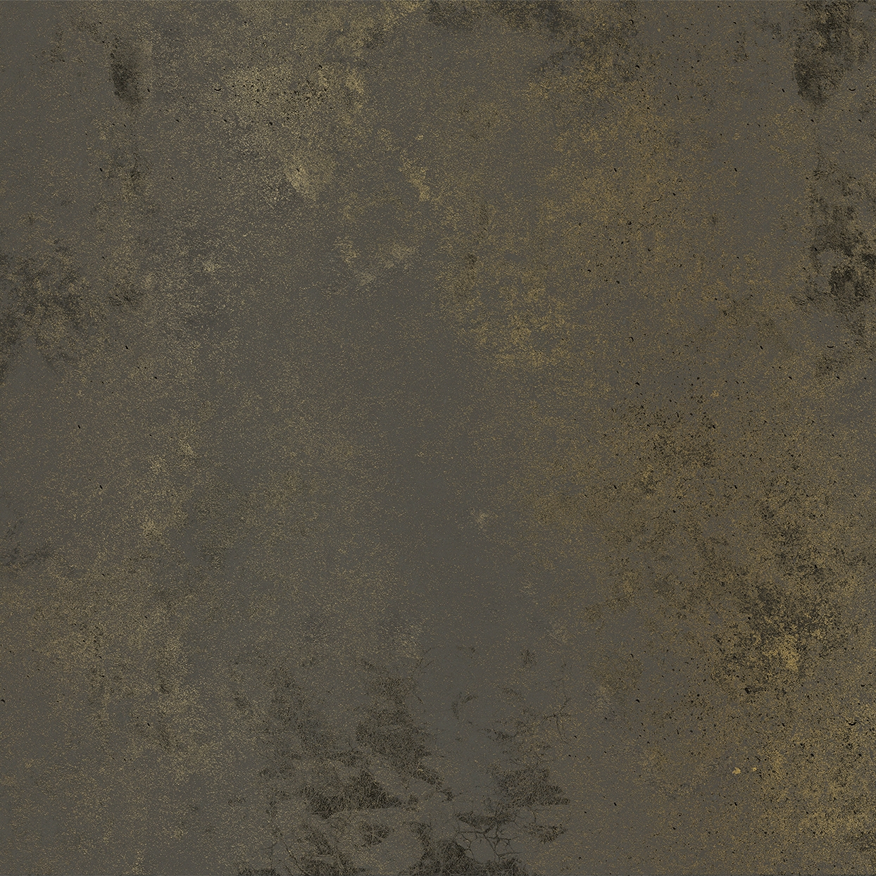 Mostrar el producto Proviso | SS1.07 SG del fabricante YO2