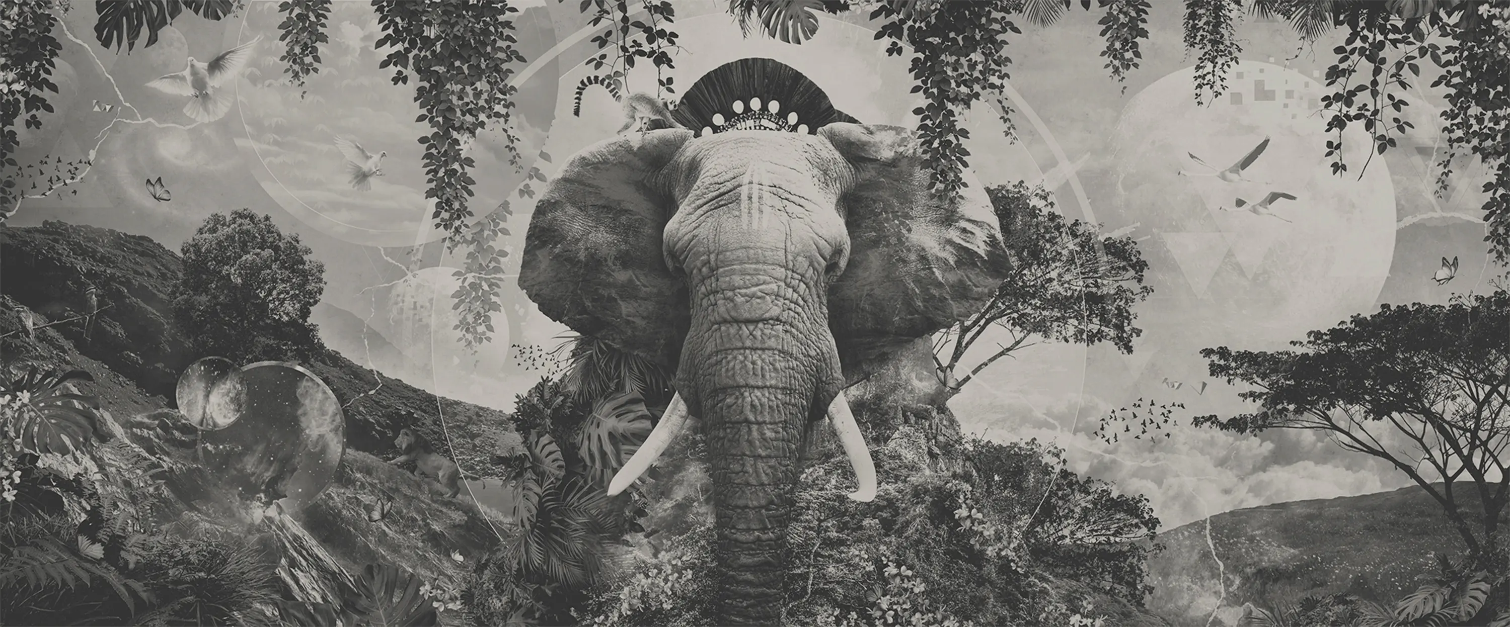 YO2 - Sphere | SP1.01.2 GL