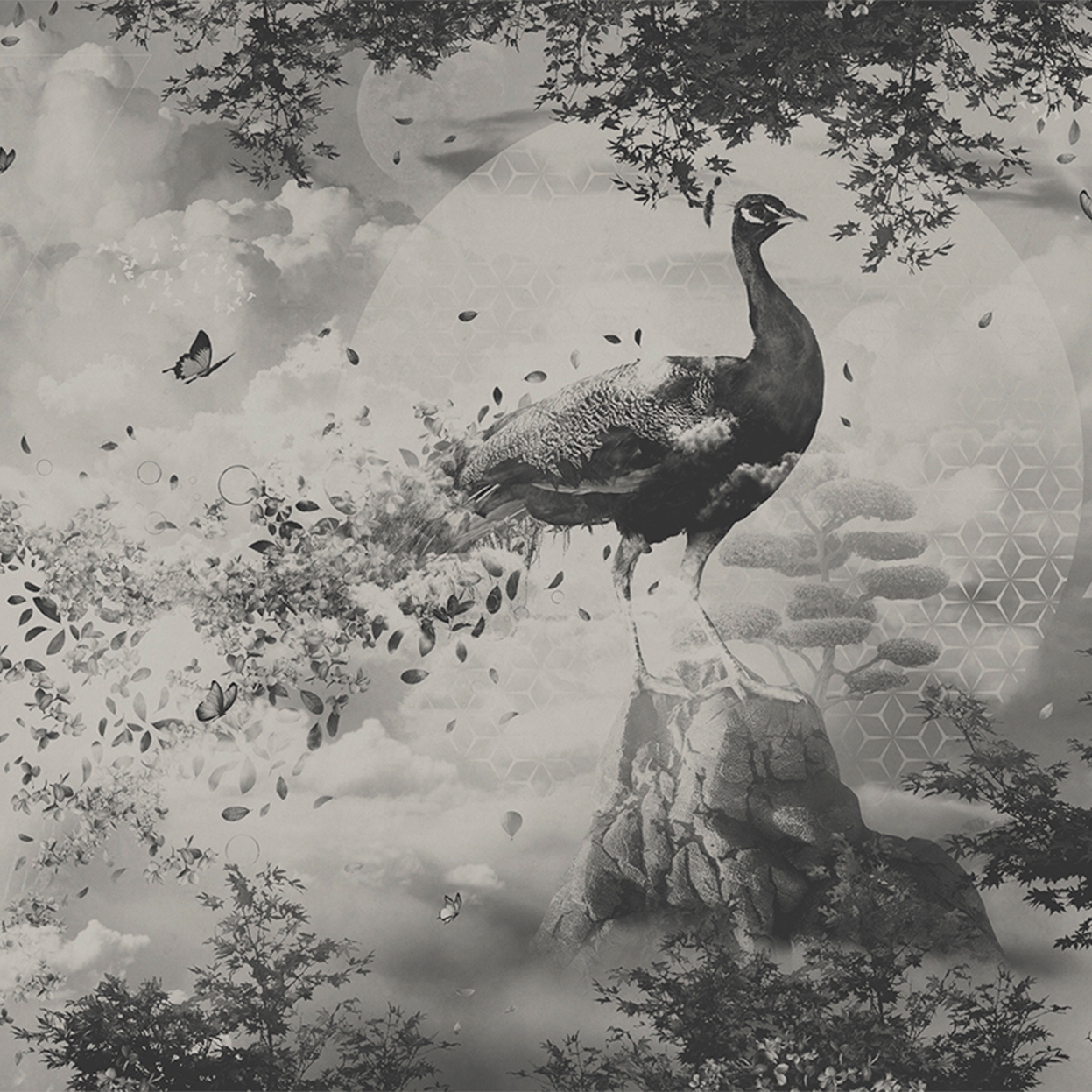 Sphere | SP1.03.2 GL