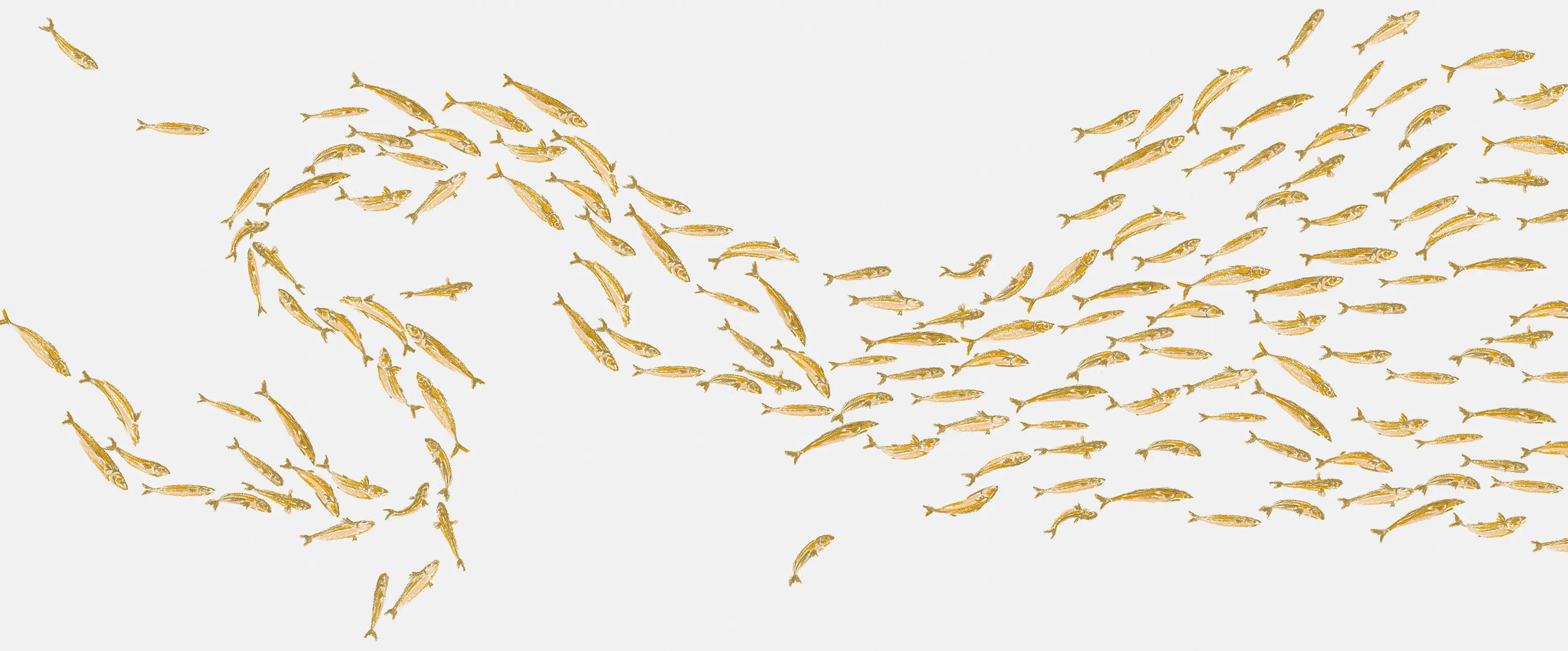 YO2 - Seine | SI1.01.1 GL / FF