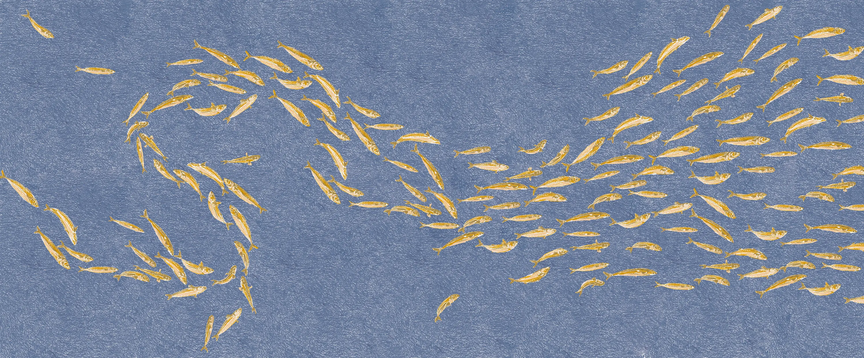 YO2 - Seine | SI1.01.2 GL / FF