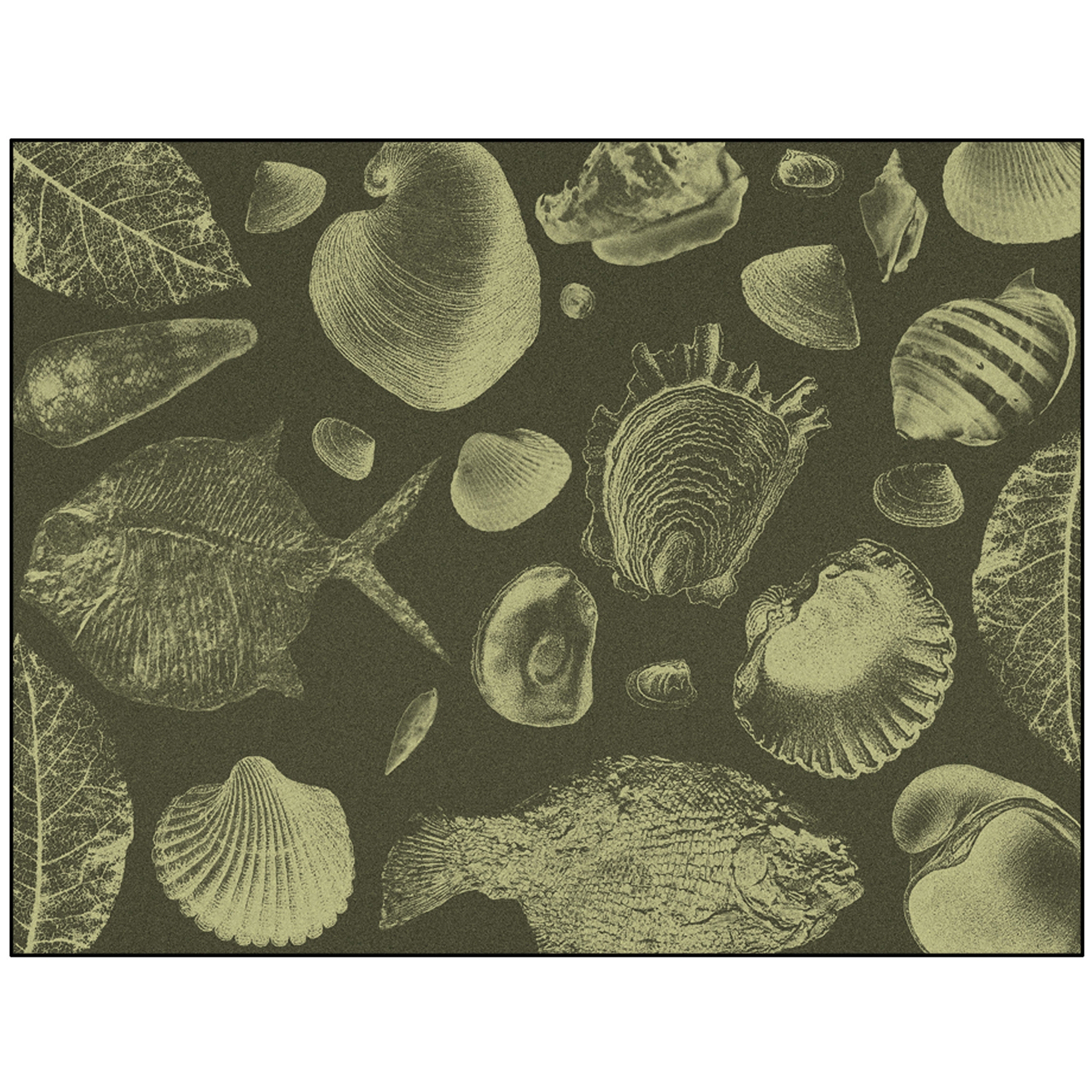 Produkt Flossil | FL3.01.1 | 200 x 300 cm des Herstellers YO2 anzeigen