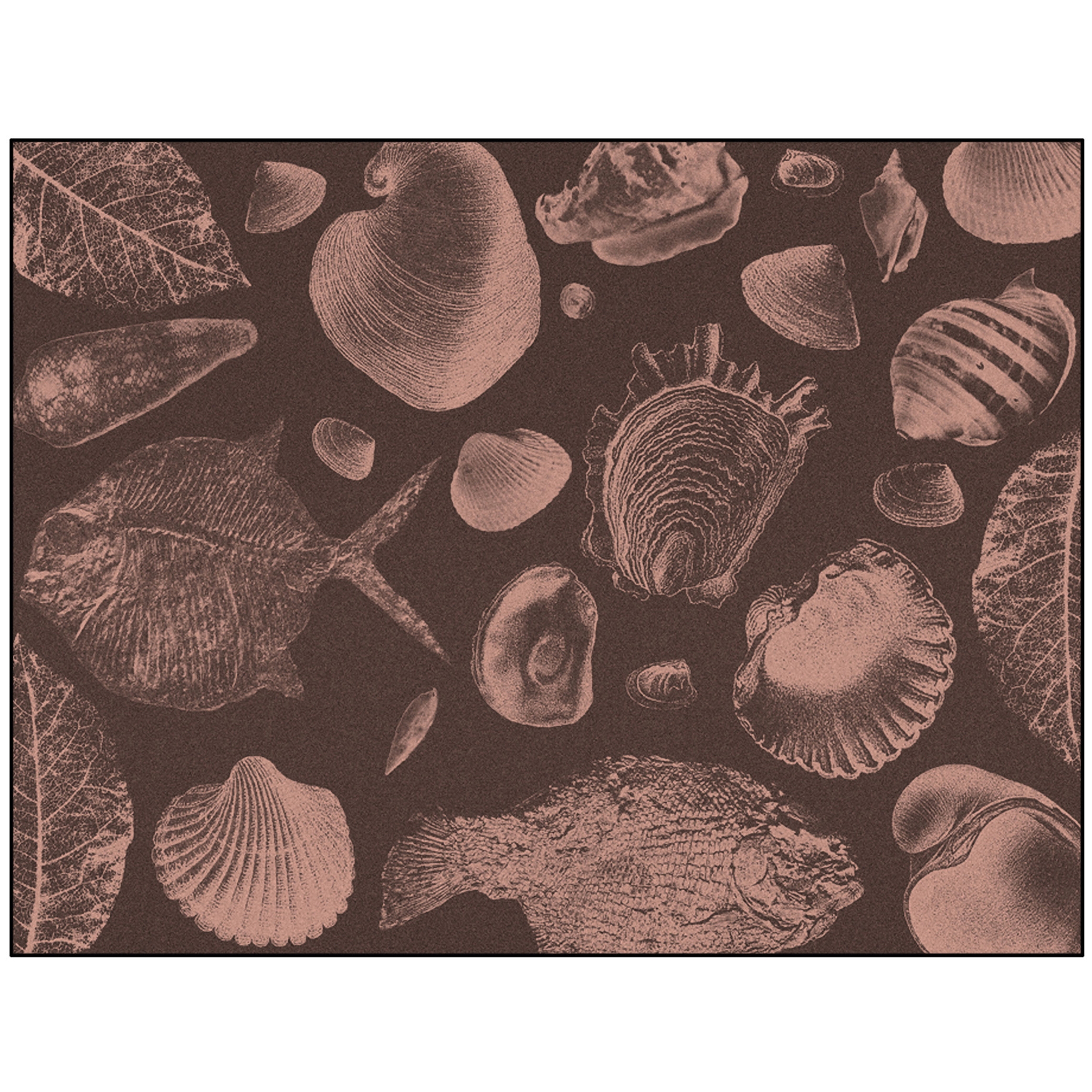 Flossil | FL3.01.2 | 200 x 300 cm