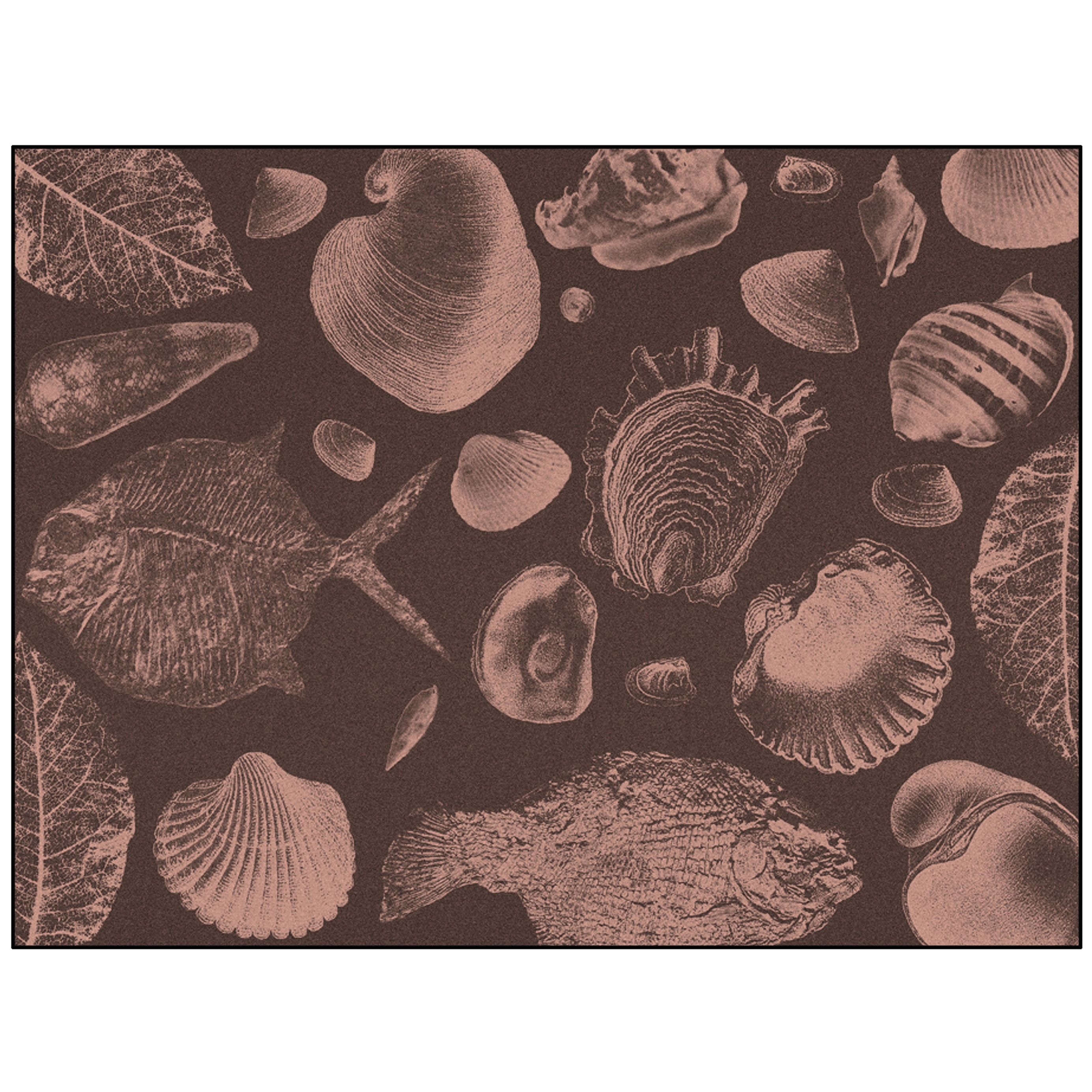 Flossil | FL3.01.2 | 300 x 400 cm