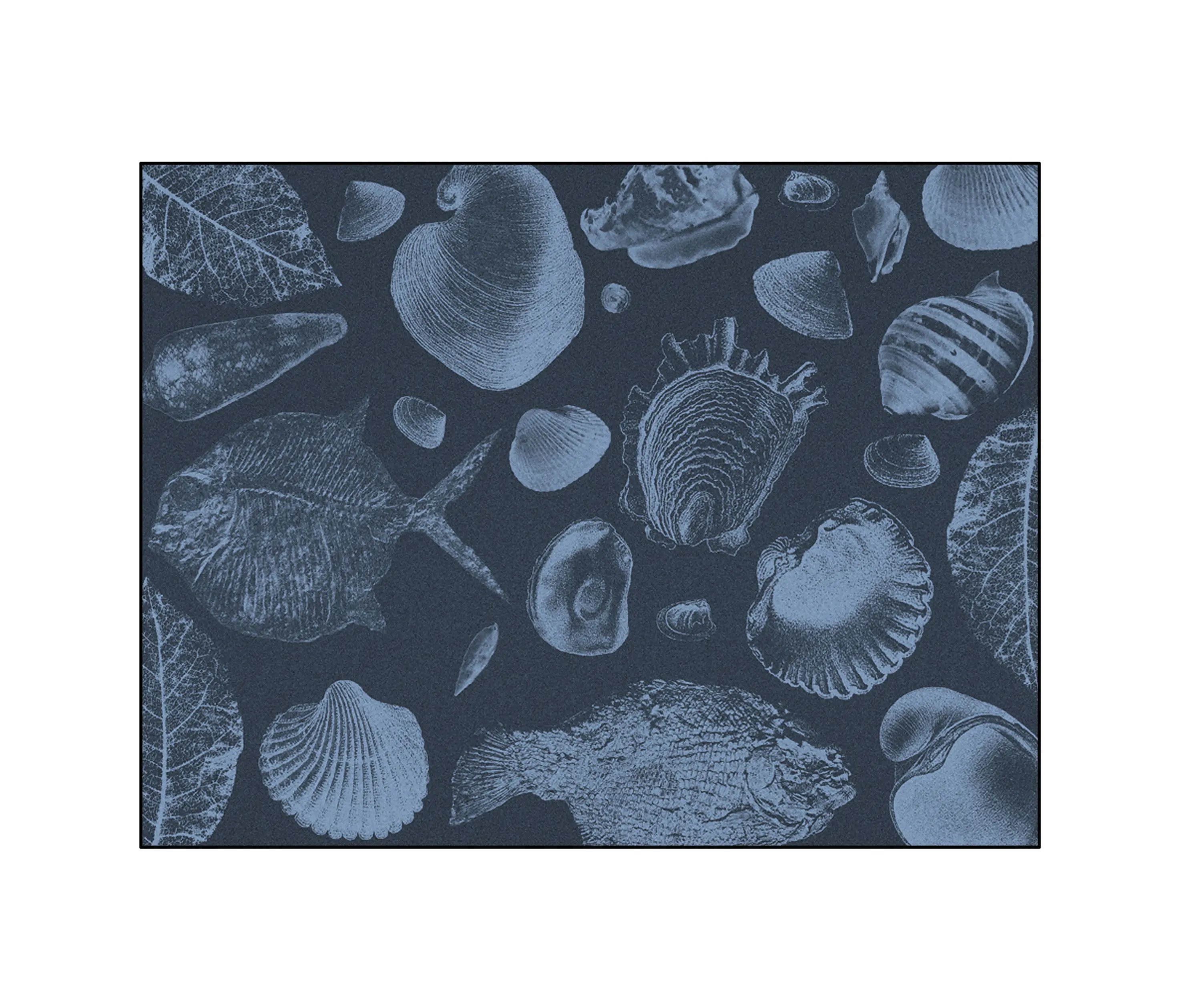 YO2 - Flossil | FL3.01.3 | 200 x 300 cm