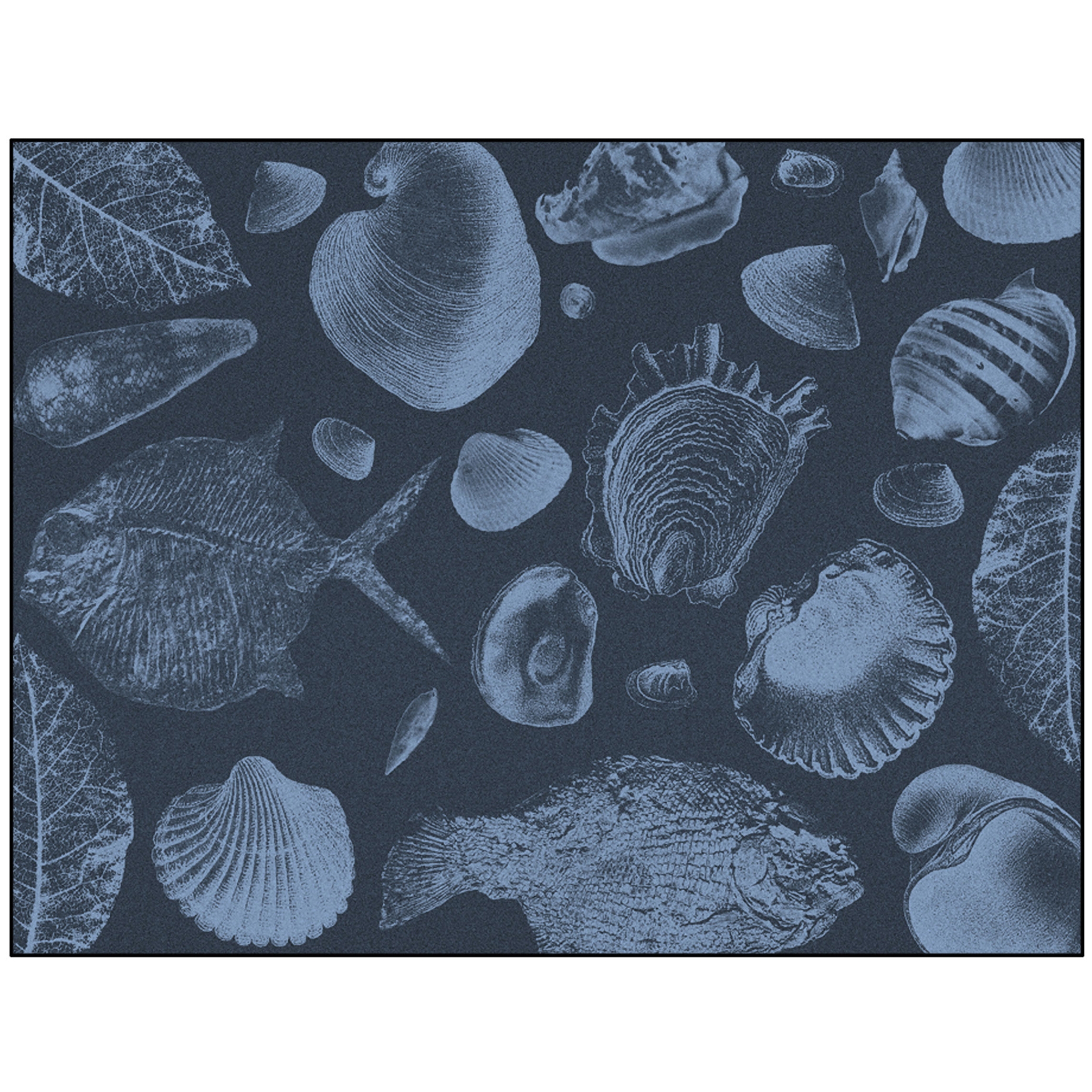 Flossil | FL3.01.3 | 200 x 300 cm