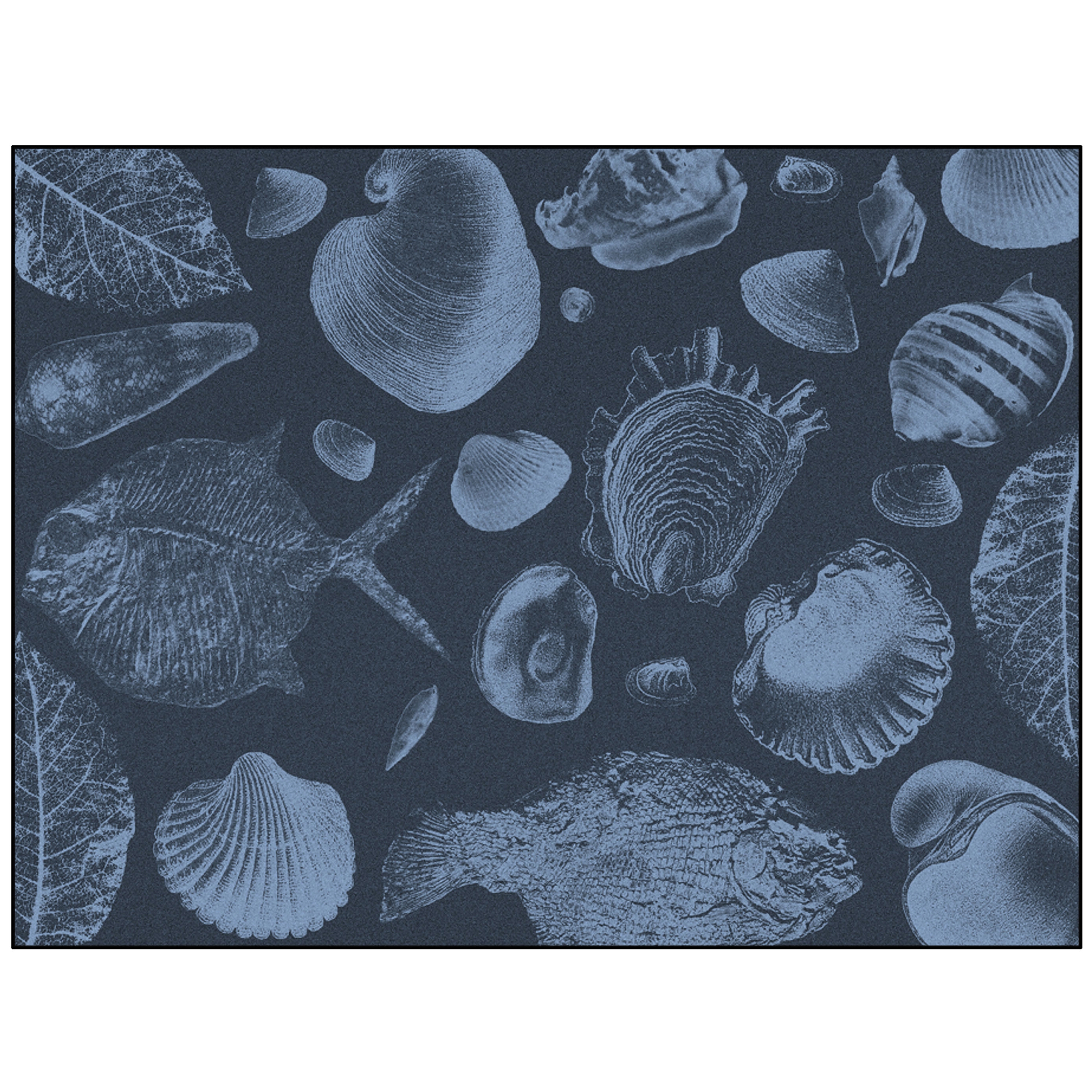 Flossil | FL3.01.3 | 300 x 400 cm