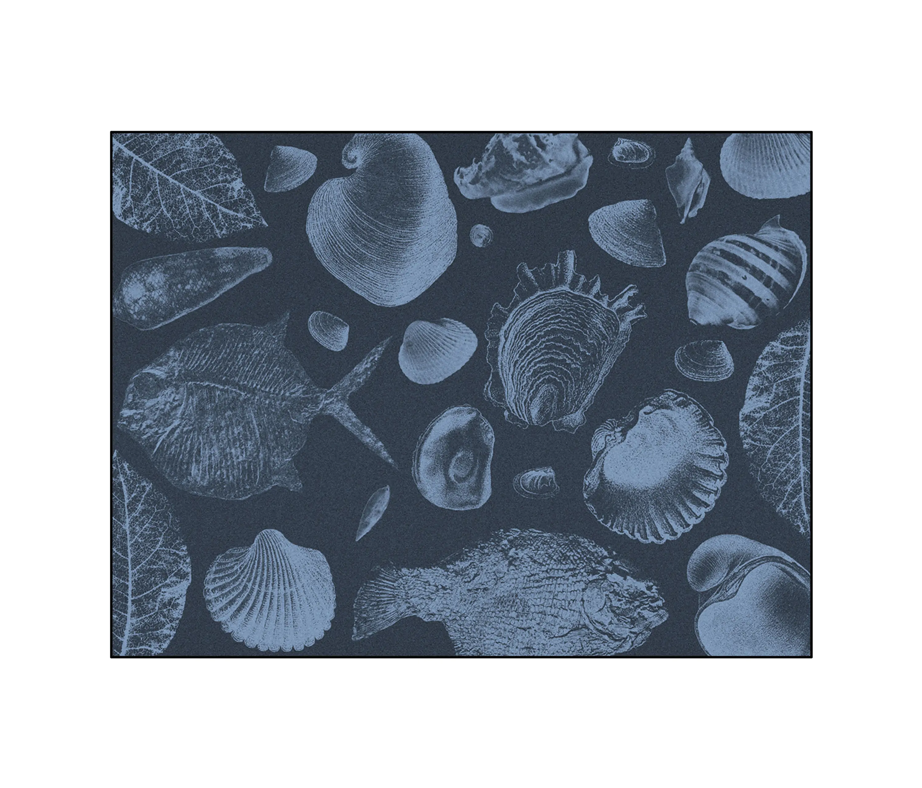 YO2 - Flossil | FL3.01.3 | 300 x 400 cm