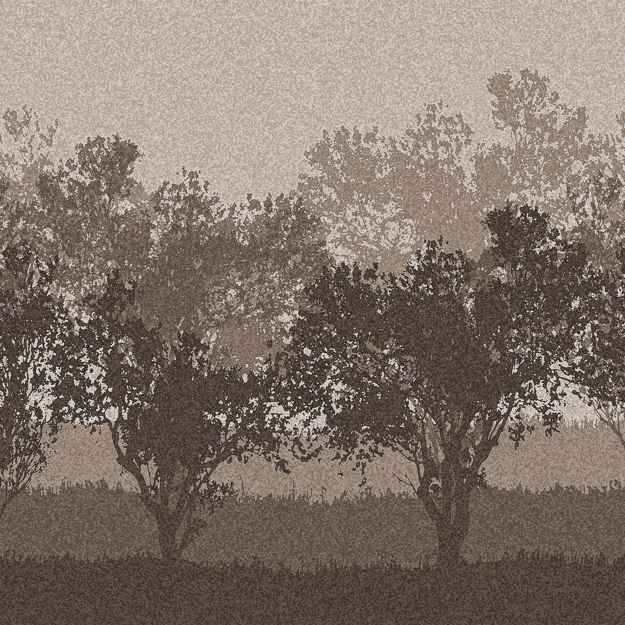 Woods | WD1.01.2 CR/FF