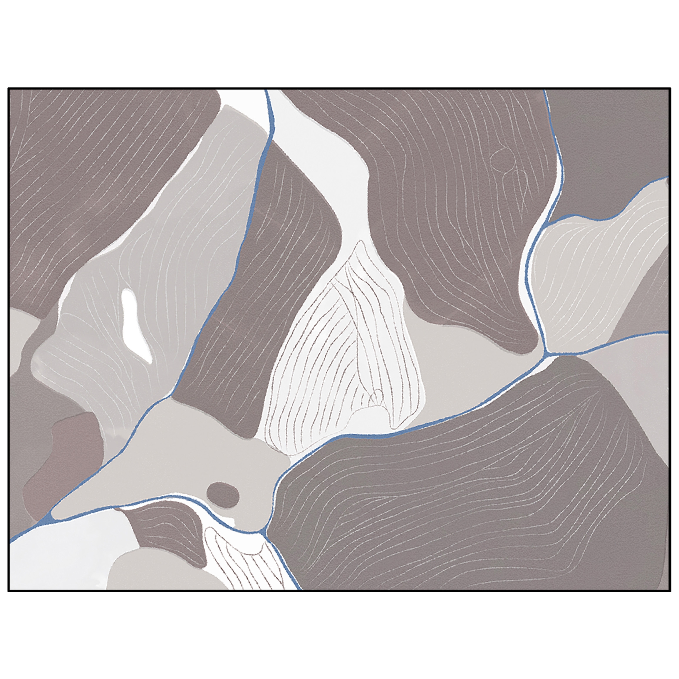 Birds Eye View | BI3.01.3 | 200 x 300 cm