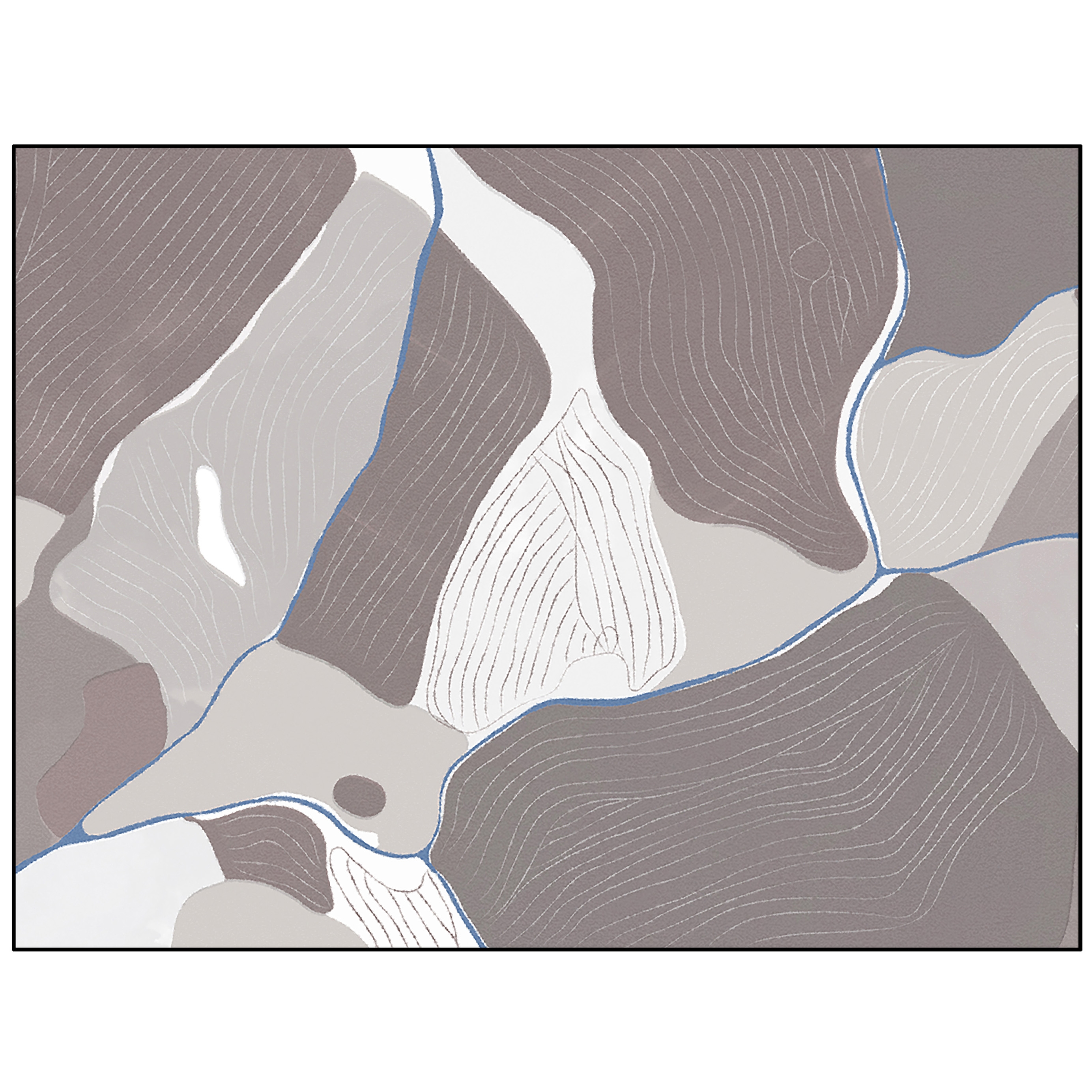 Birds Eye View | BI3.01.3 | 300 x 400 cm