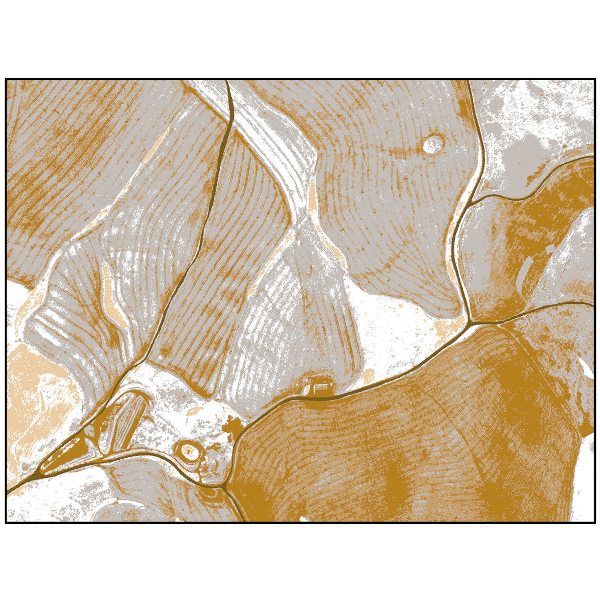 Birds Eye View | BI3.02.2 | 200 x 300 cm
