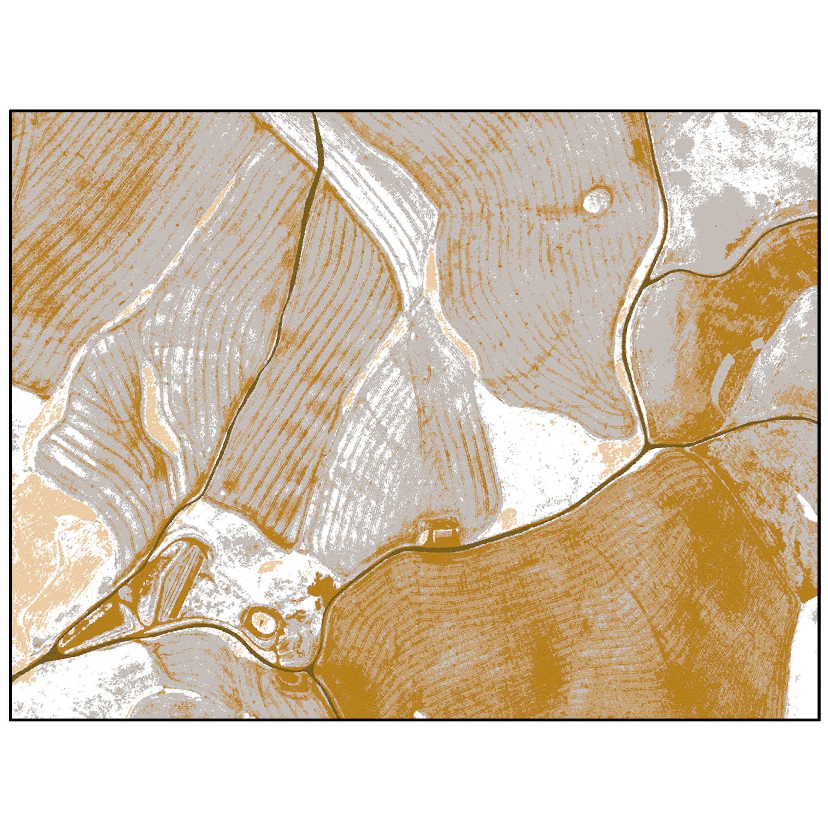 Birds Eye View | BI3.02.2 | 300 x 400 cm